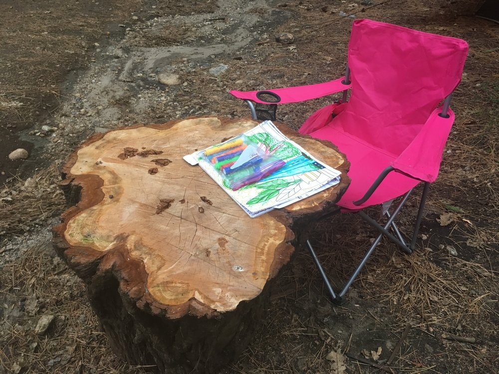 This stump was cluttering our campsite, until it became Lily’s coloring table.