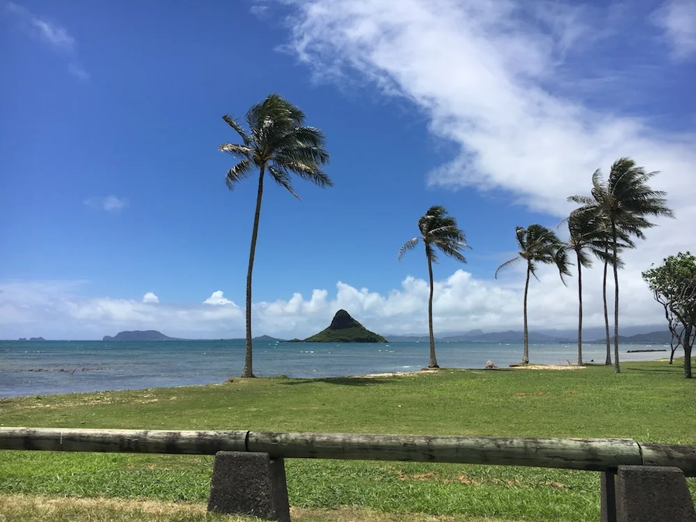 Free Tickets to Hawaii