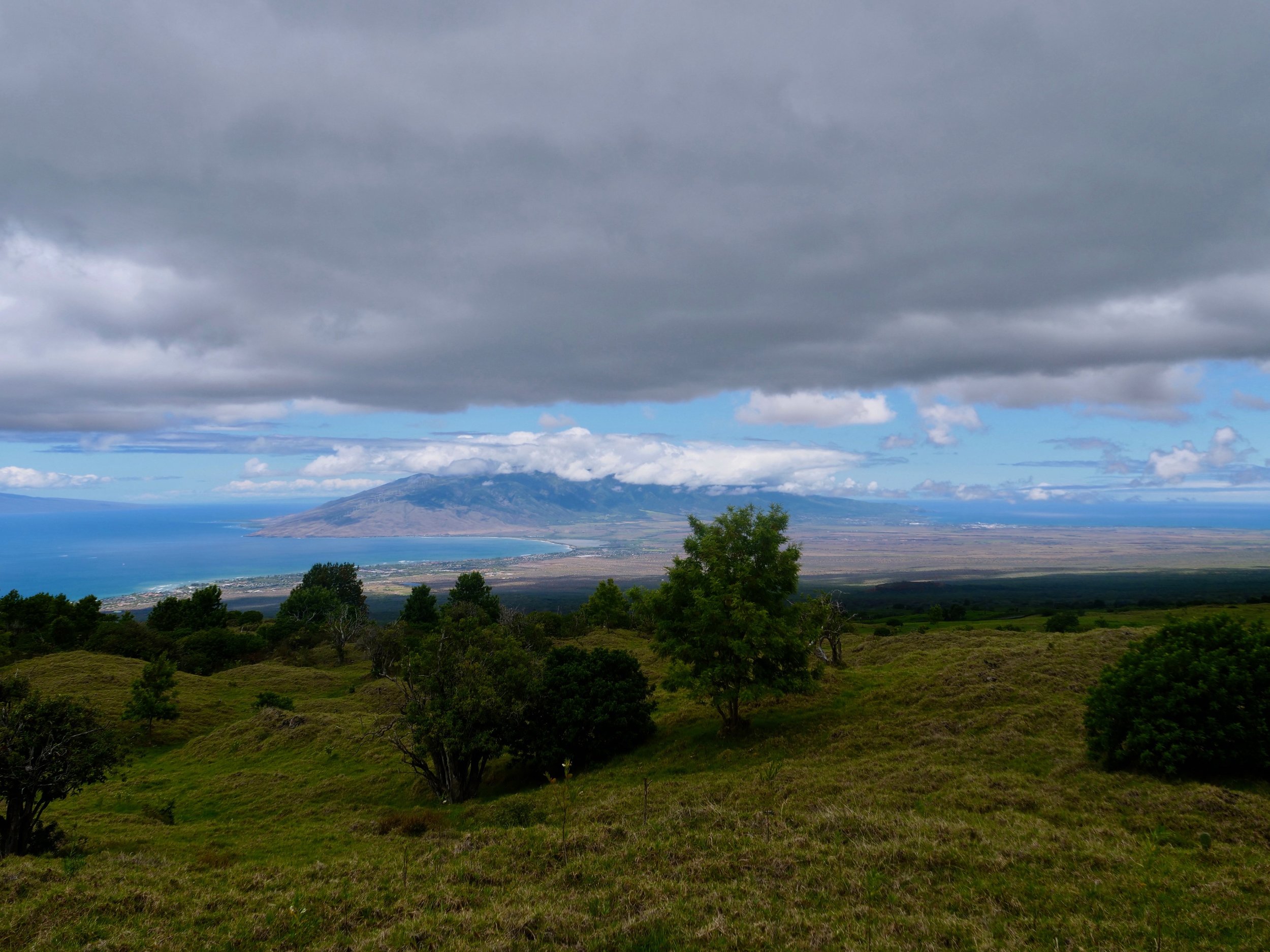 Looking down into the central valley of Maui.