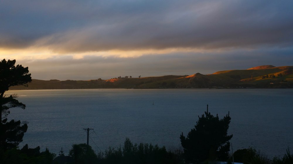 Sunrise view of Dunedin Harbour from the farmhouse