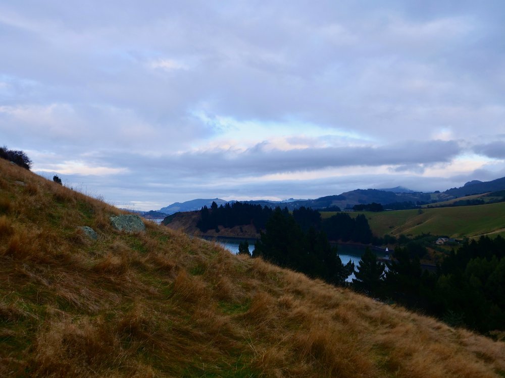 Emily and I climb this hill each morning and watch the sun come up.