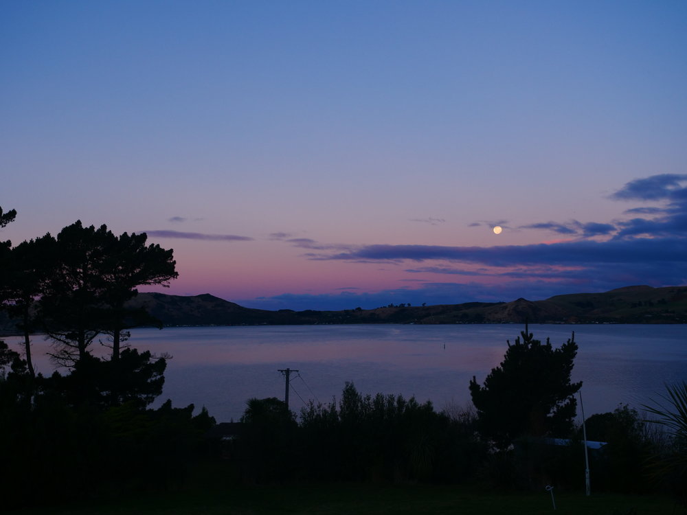 Moonrise over the Harbor.