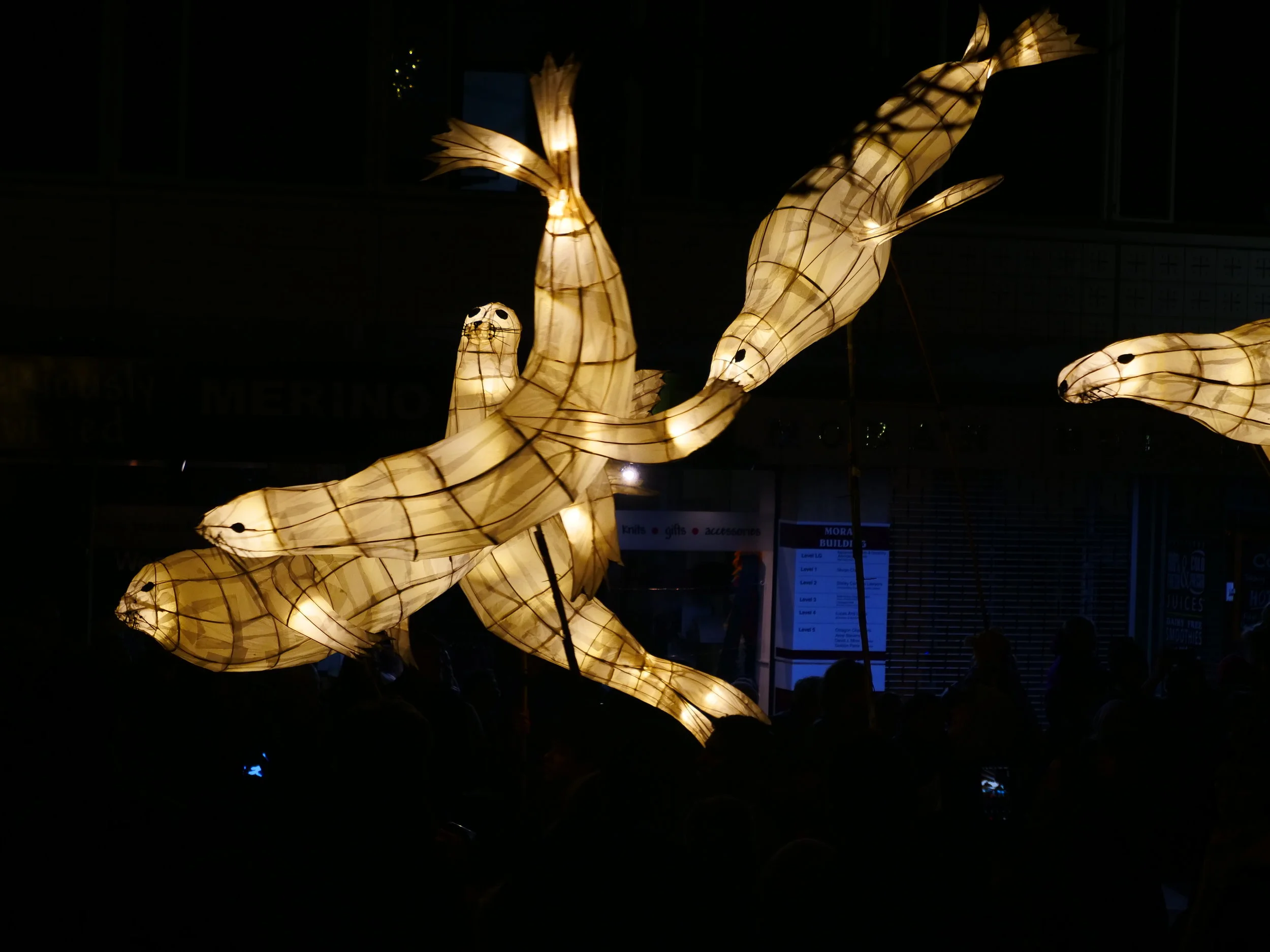 Paper machét seals in the Midwinter Festival parade.
