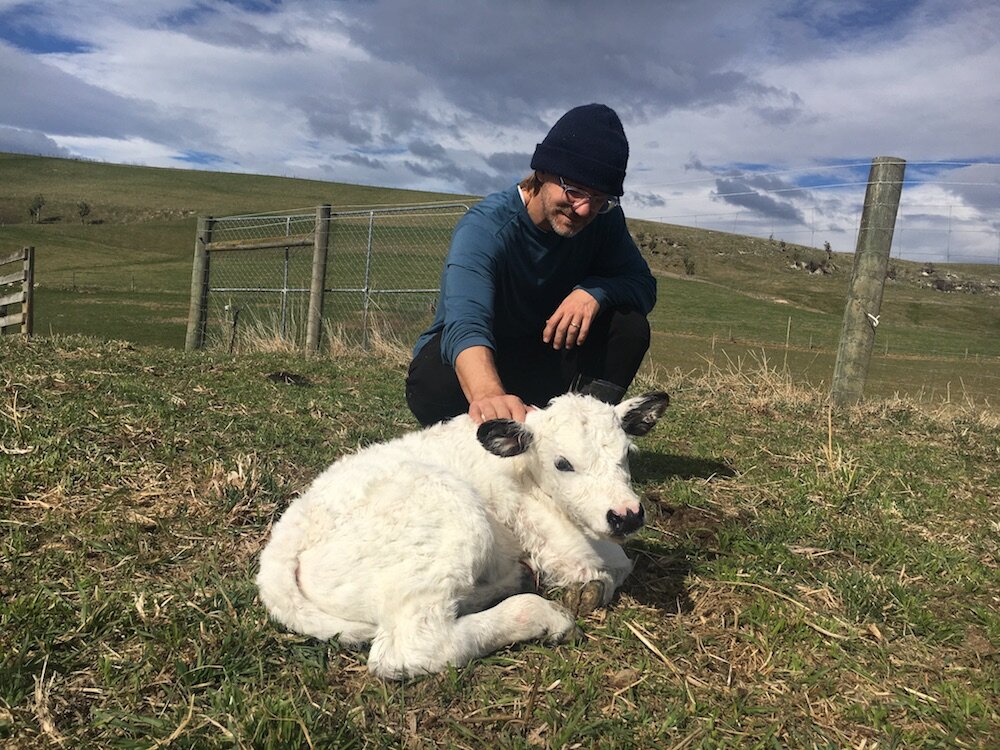 First calf born on our watch