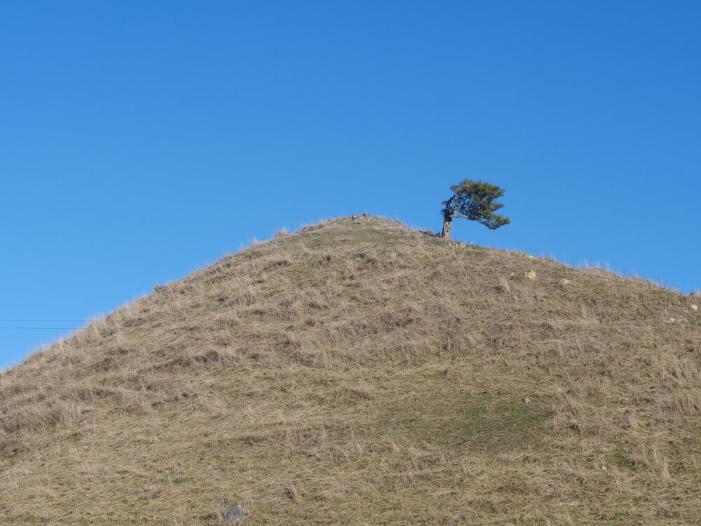 Lone tree hill [cue U2]