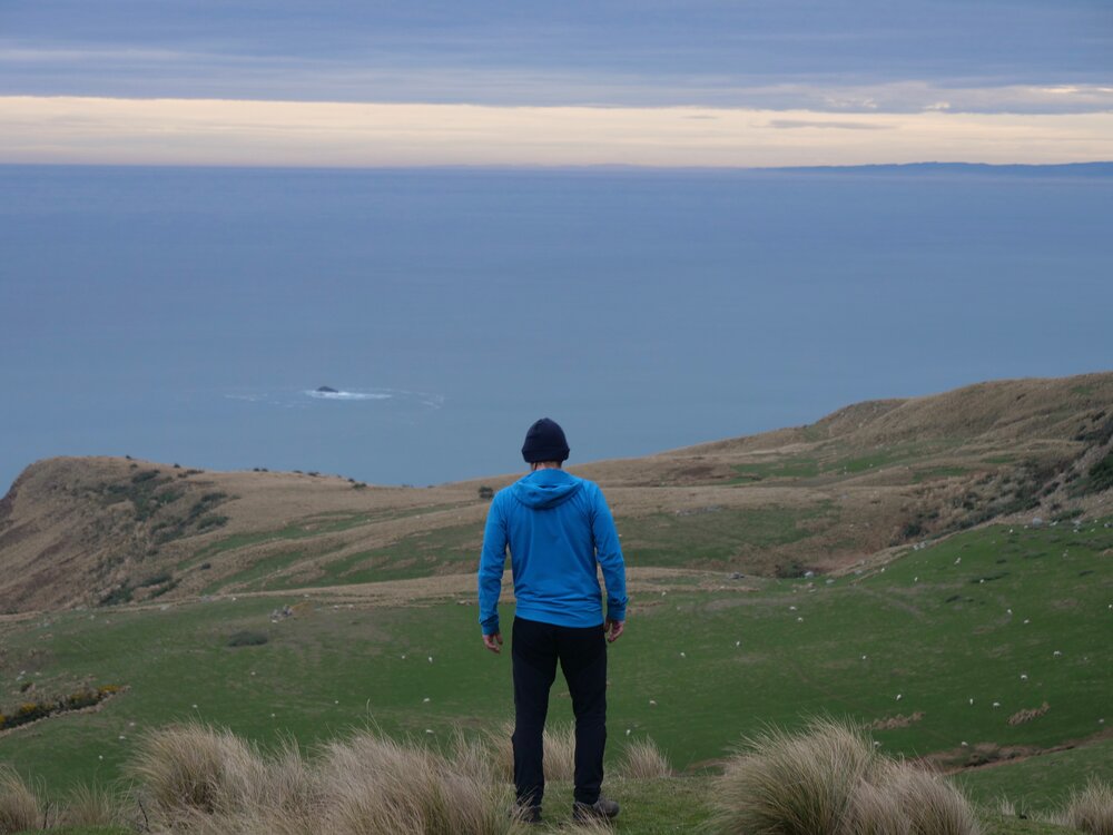 The Otago Peninsula meets the Pacific Ocean