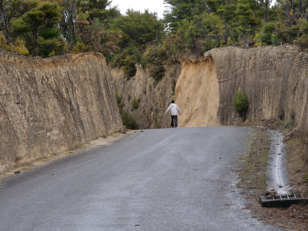 The road to Abel Tasman Nat'l Park