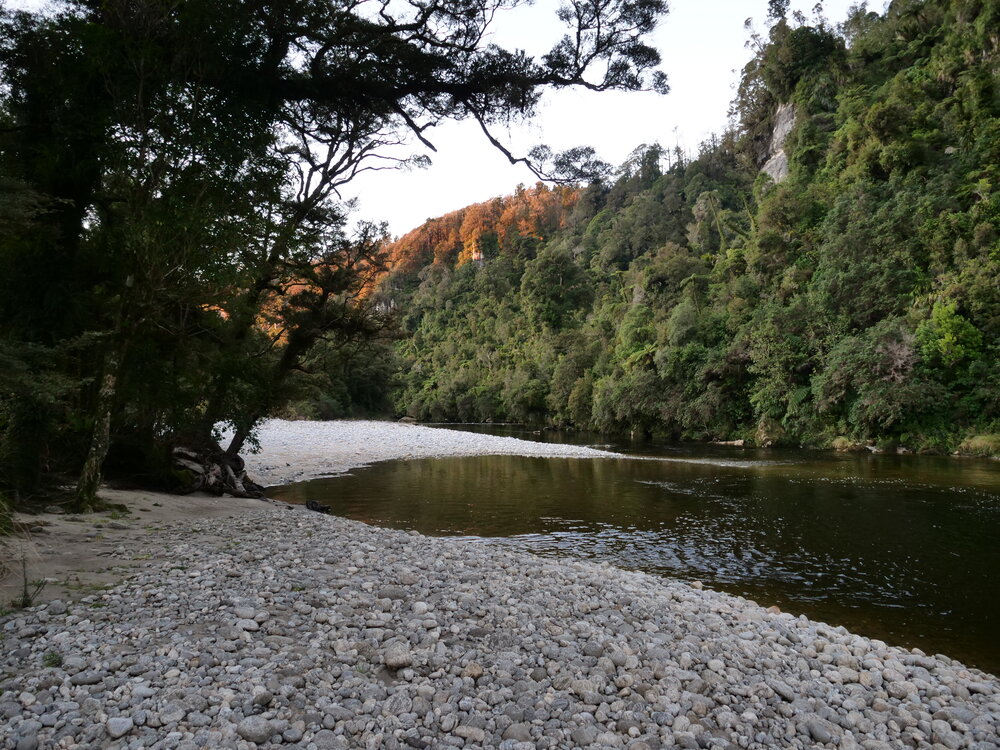 The Waitakere River