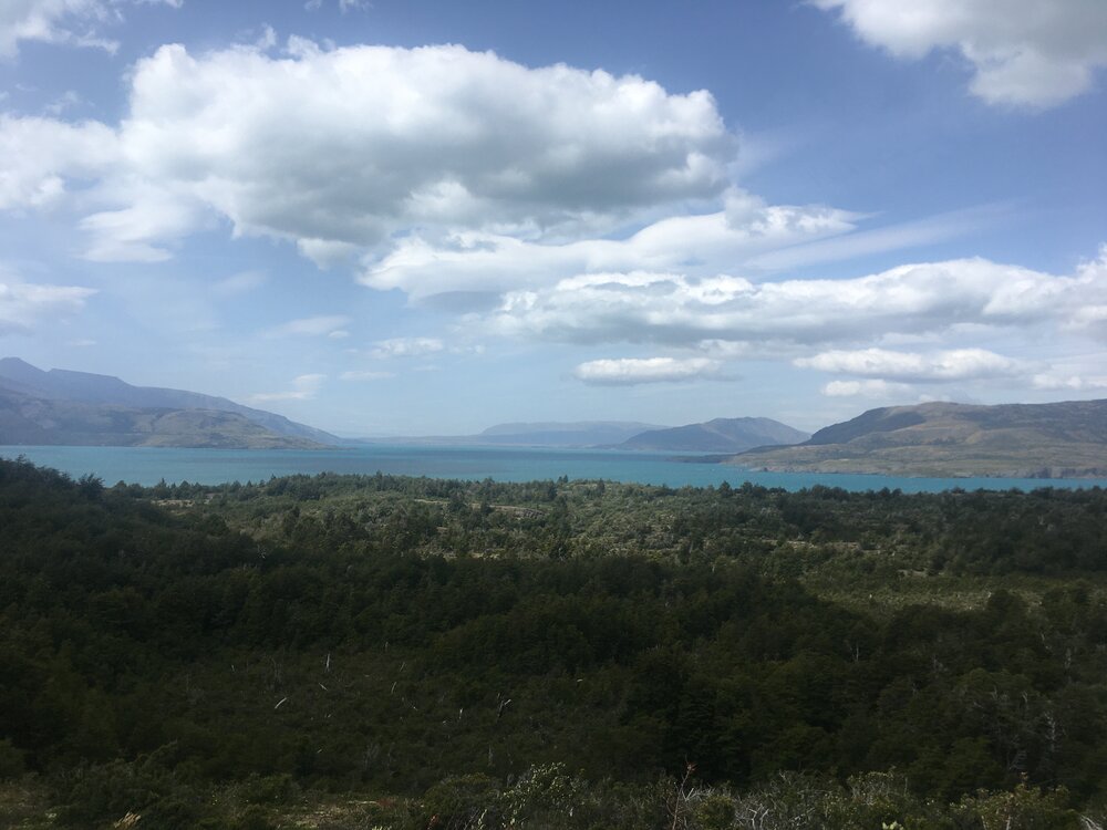 The beautiful drive into the park. Approaching the southern serrano entrance.