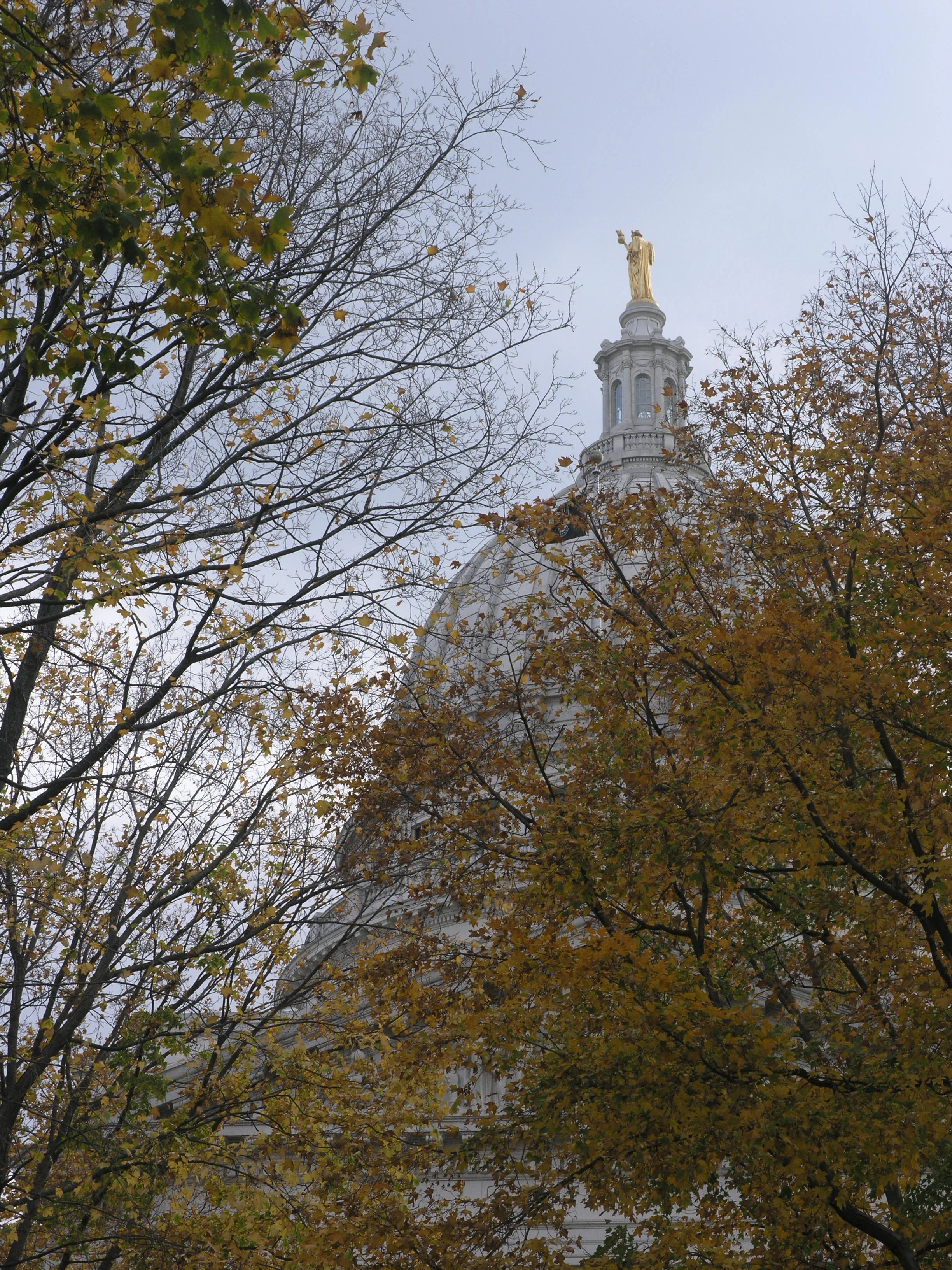 P1015323.JPG
