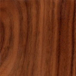 Noyer noir | Bois et caractéristiques