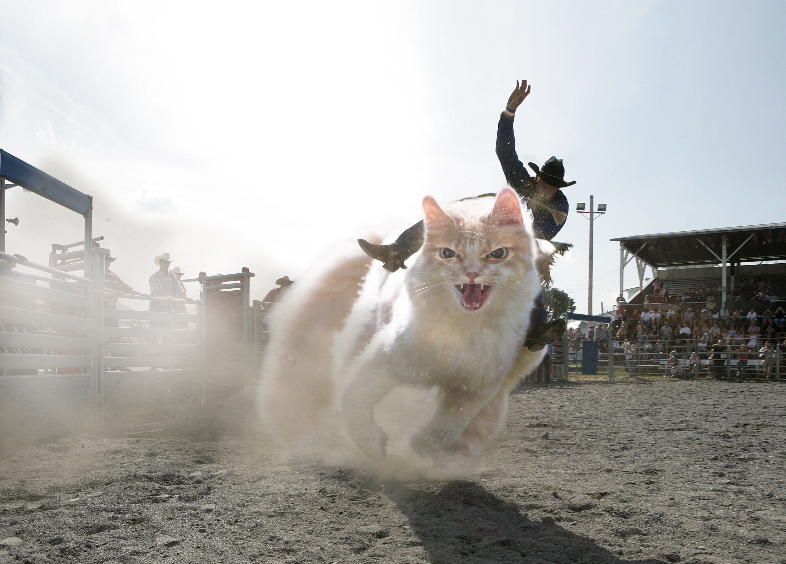 Screen Shot 2022-09-27 at 6.40.29 am.png