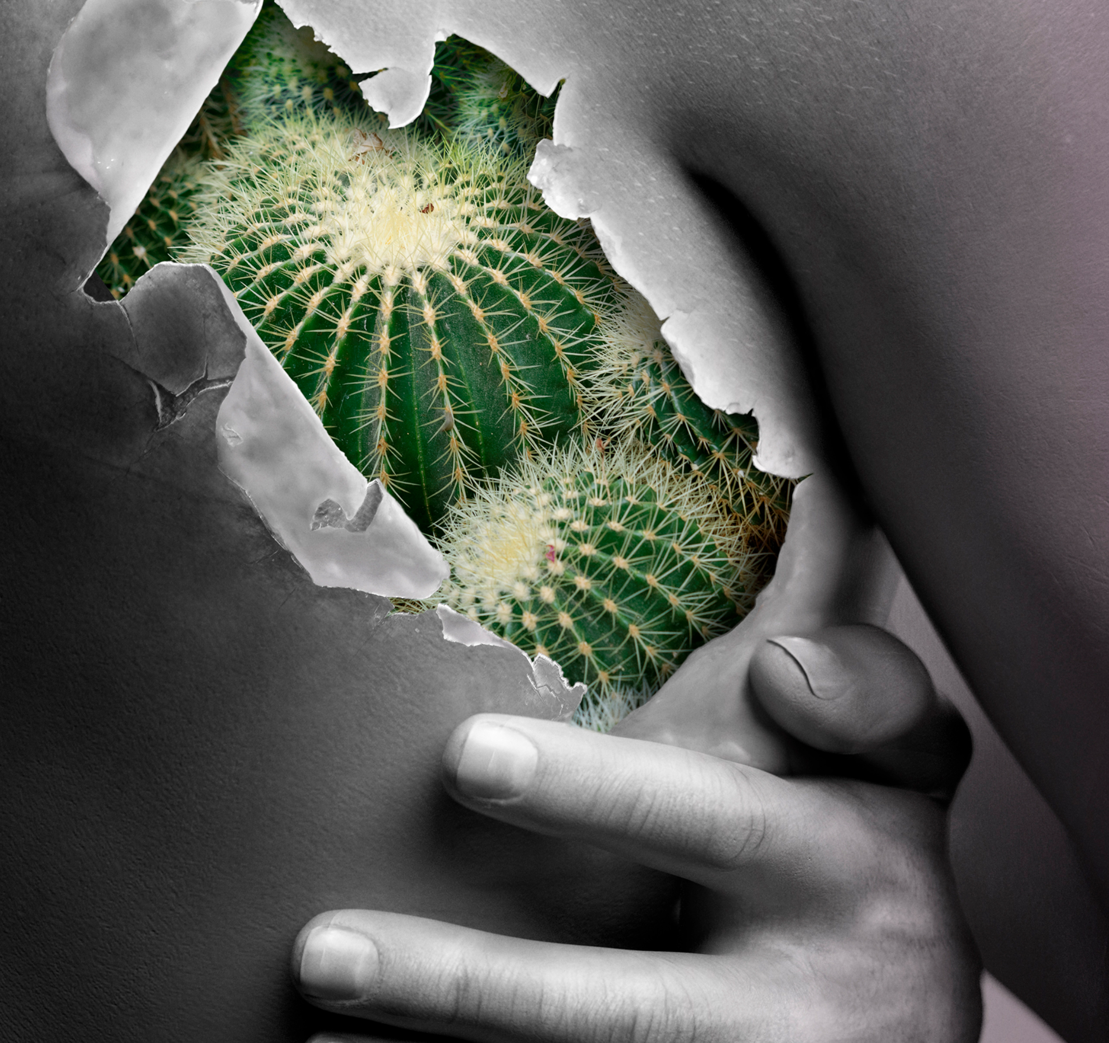 Screen Shot 2017-03-21 at 10.40.03 am.png