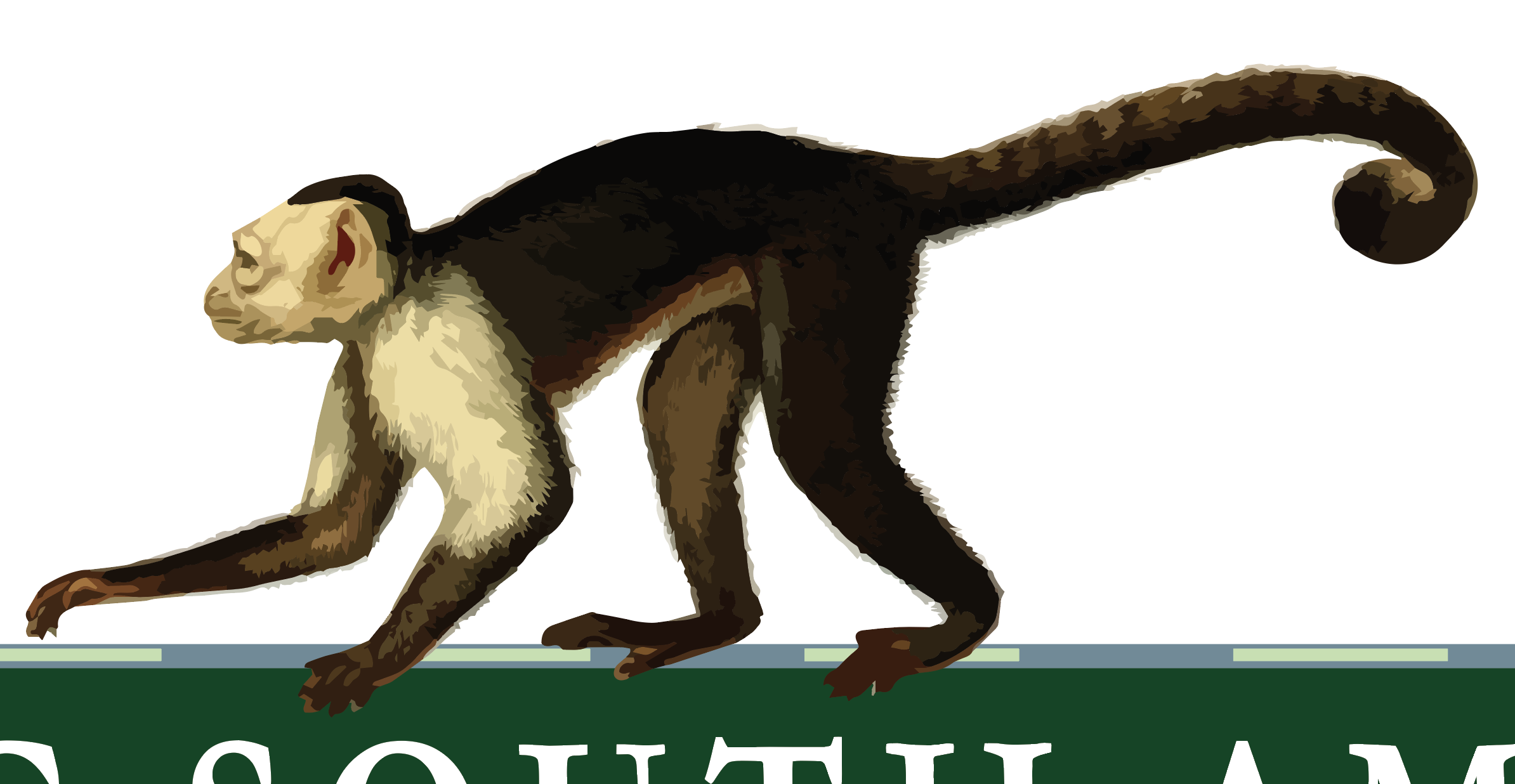 Screen Shot 2020-03-20 at 10.08.14 am.png