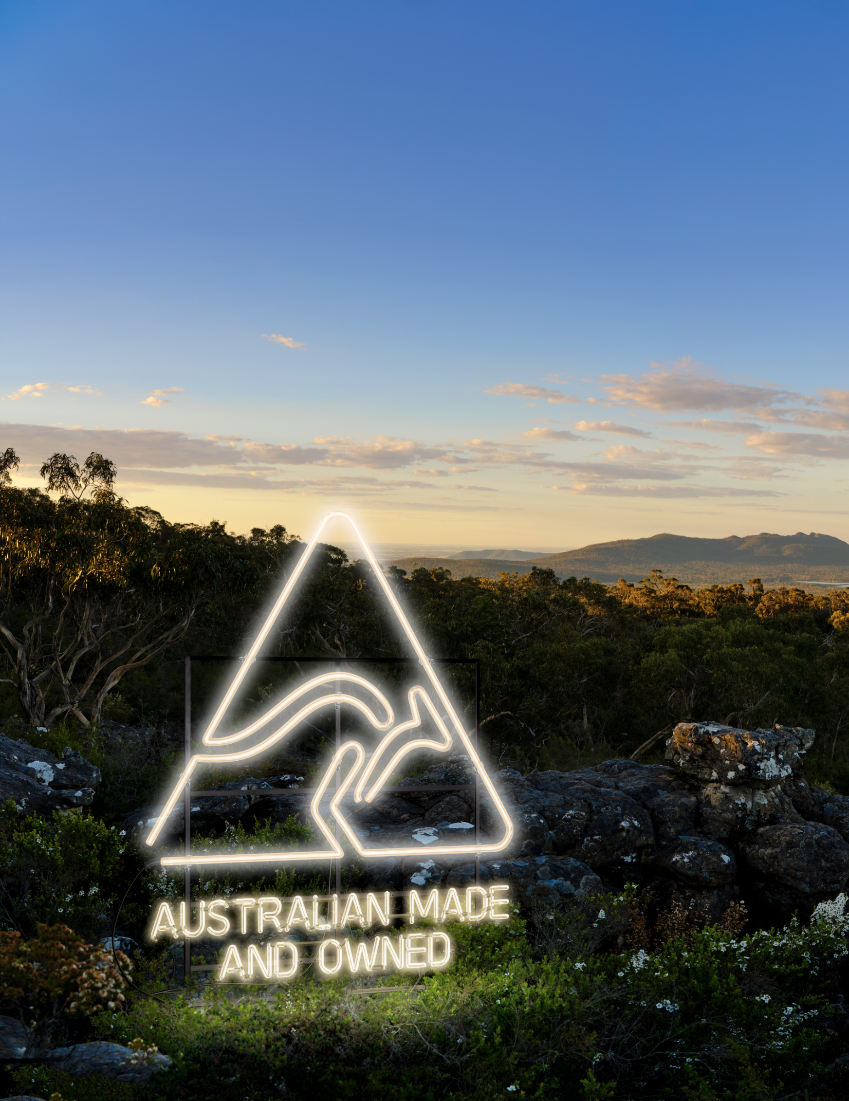 Screen Shot 2022-07-20 at 1.53.24 pm.png