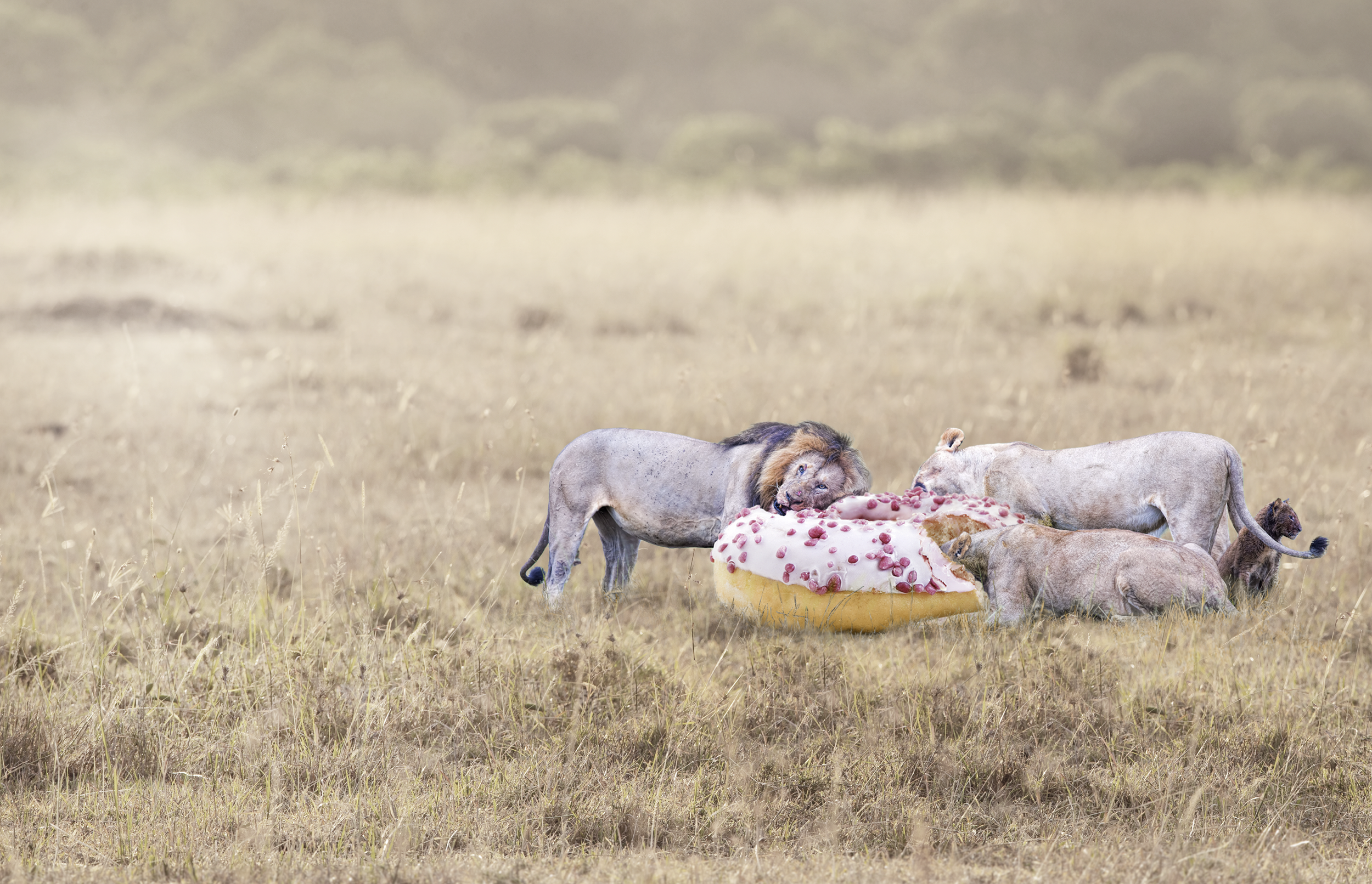 Screen Shot 2022-09-24 at 6.45.12 pm.png