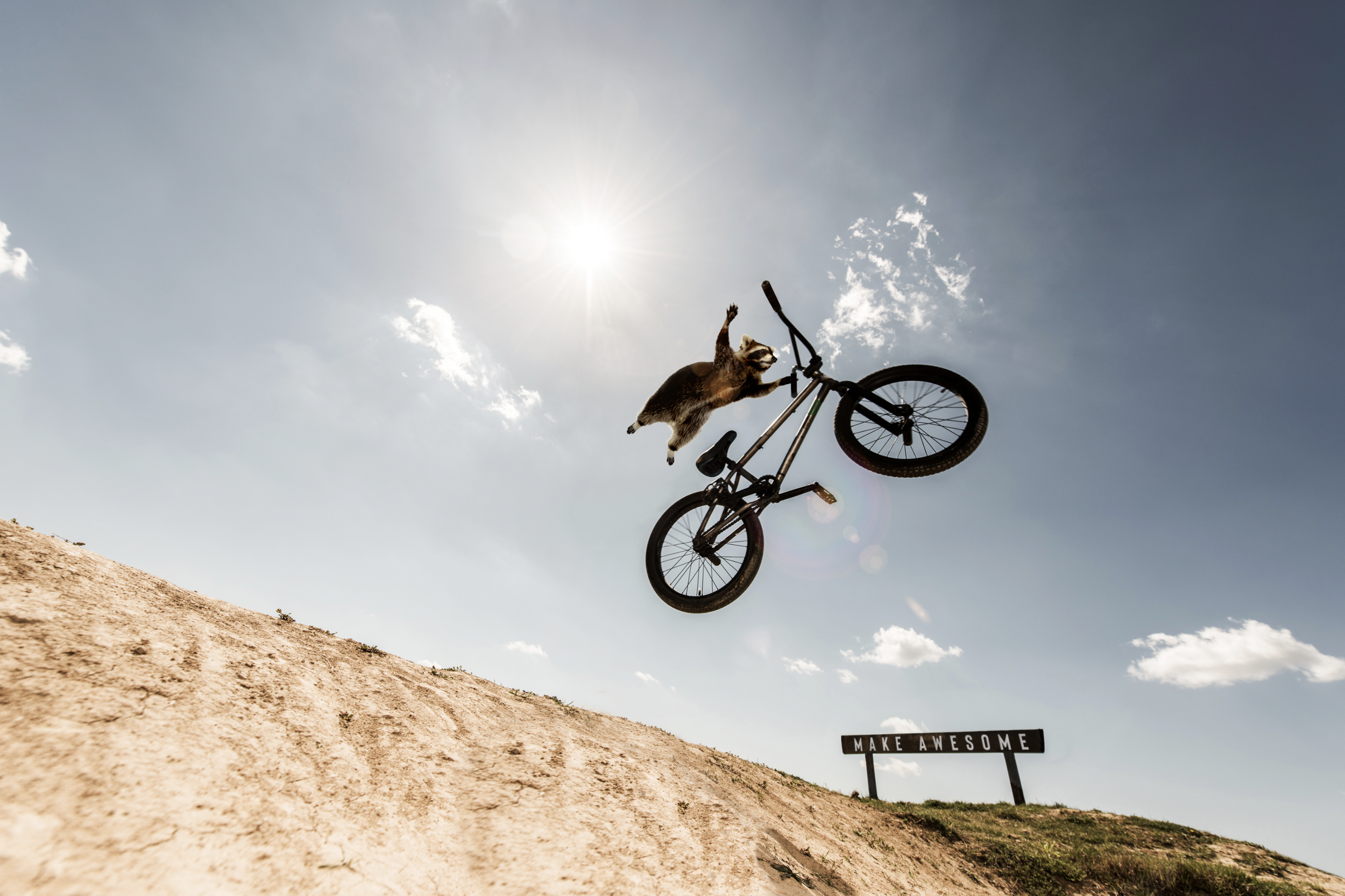 Screen Shot 2022-09-15 at 12.20.39 pm.png