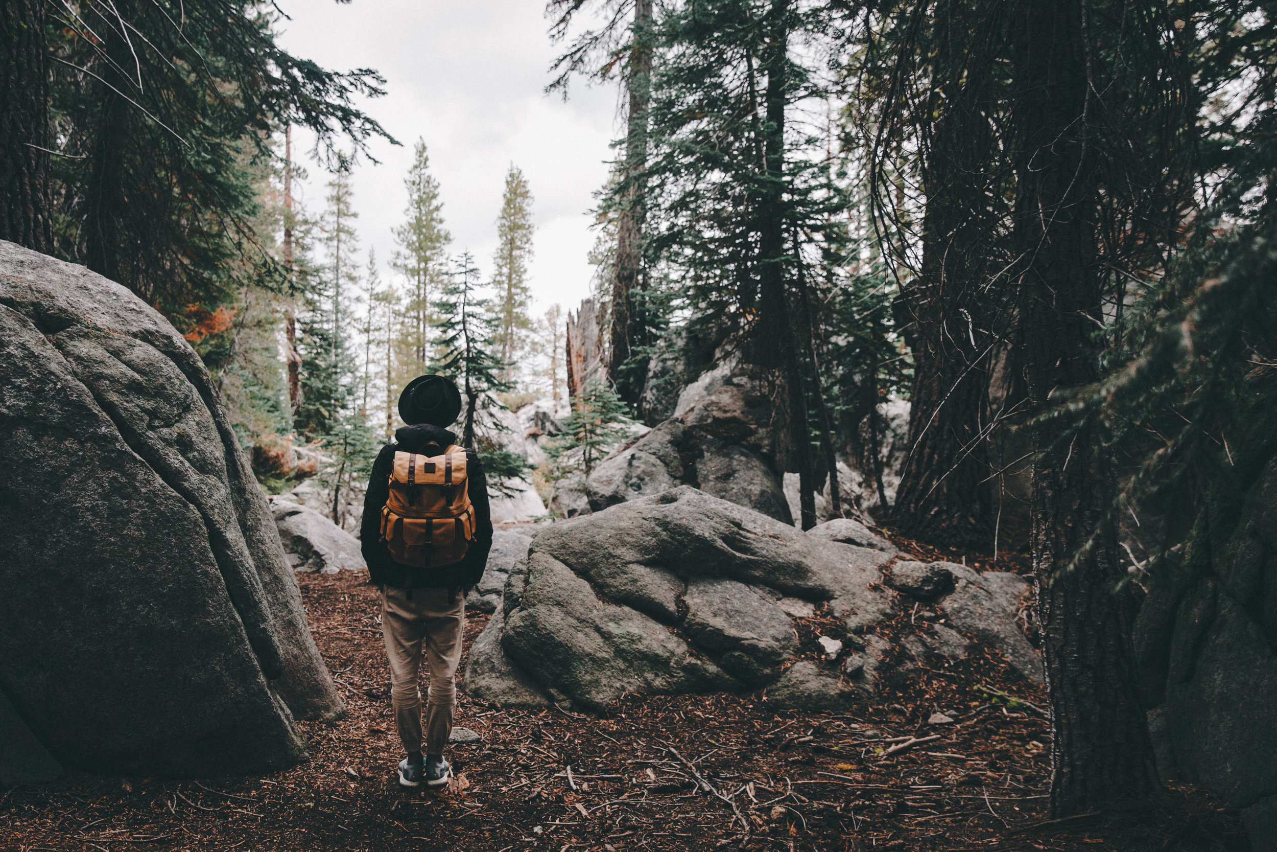 The Climb to Taft Point