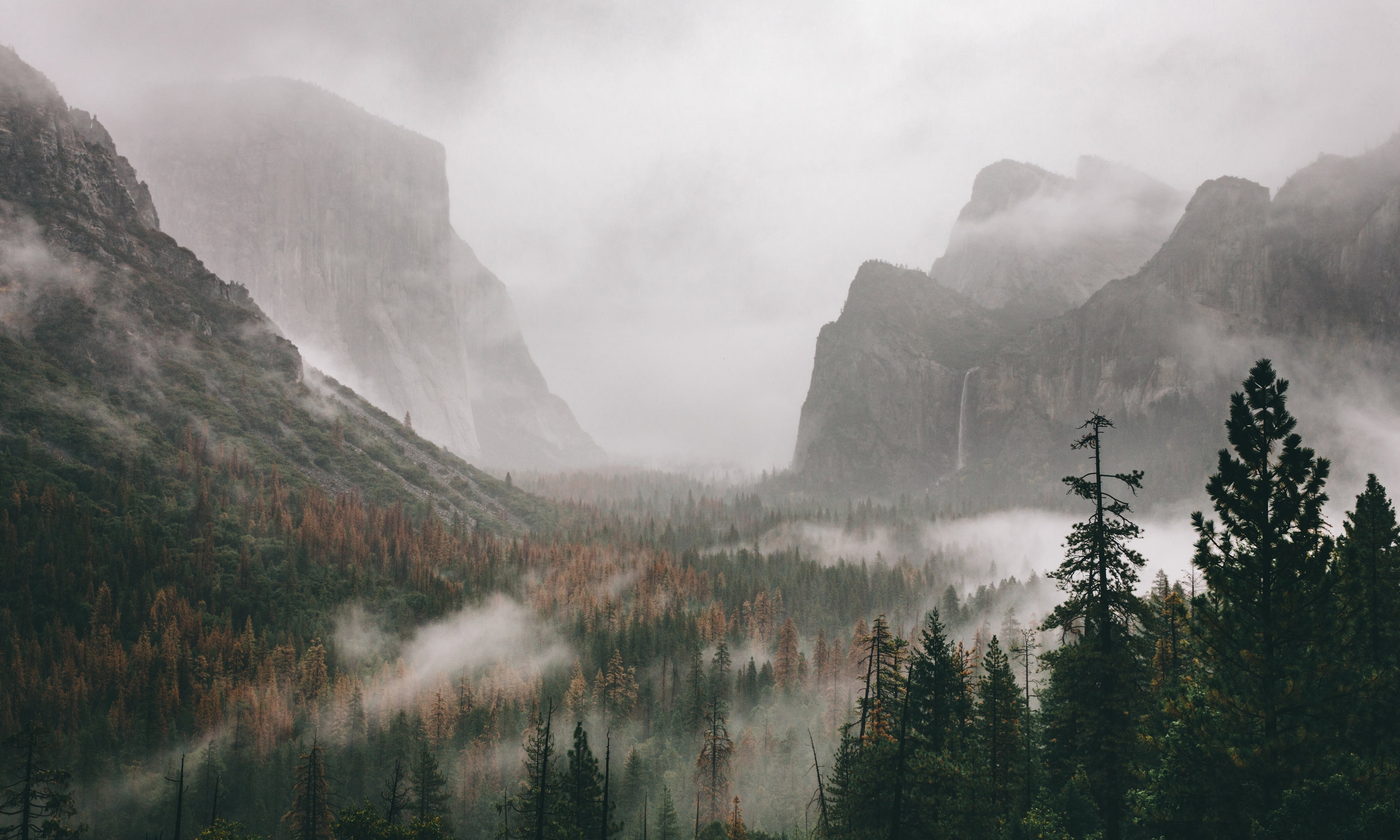 Whispering Giants