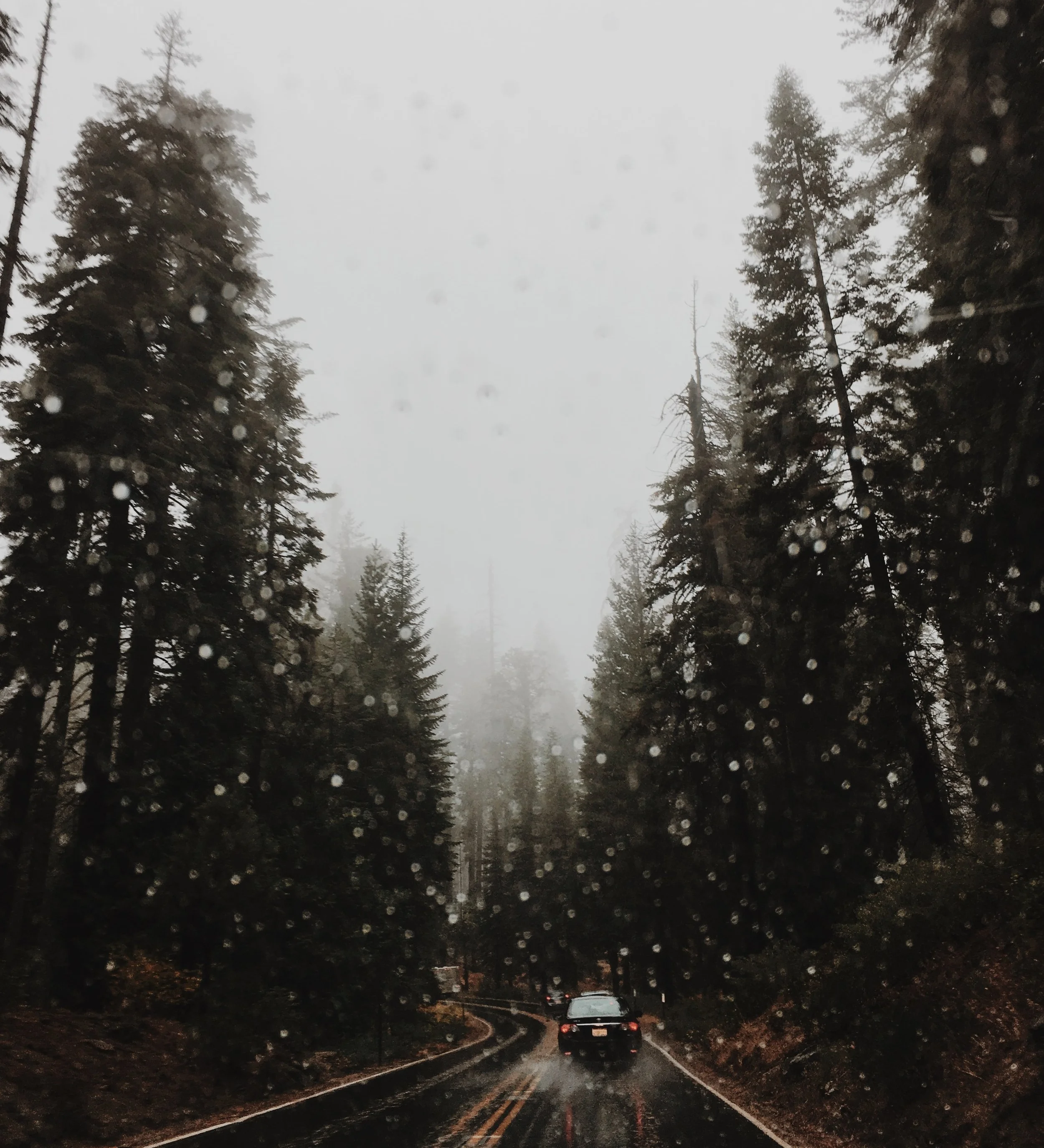 Petrichor