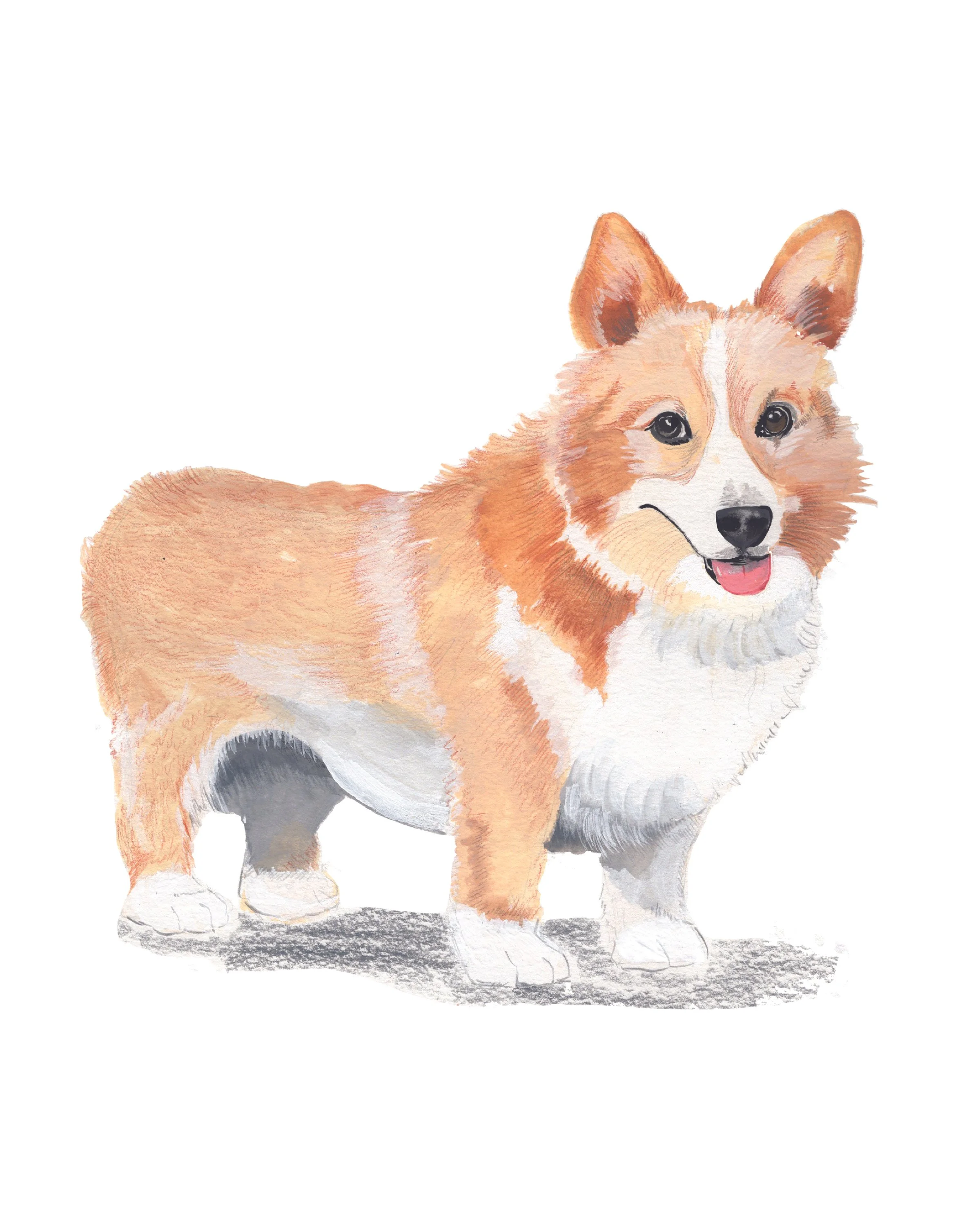 Pet Portrait_Kali print.jpg
