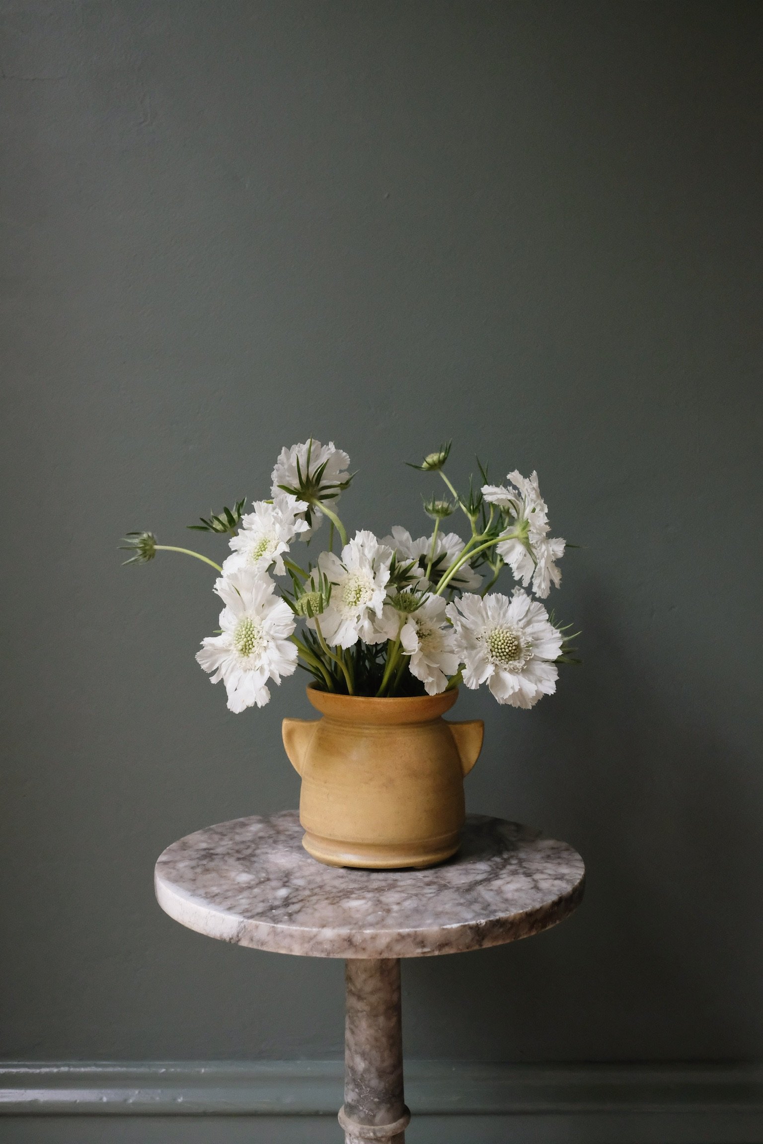 7BE9058B-4F5C-4310-AFAC-3750166EC1A7 2.JPG