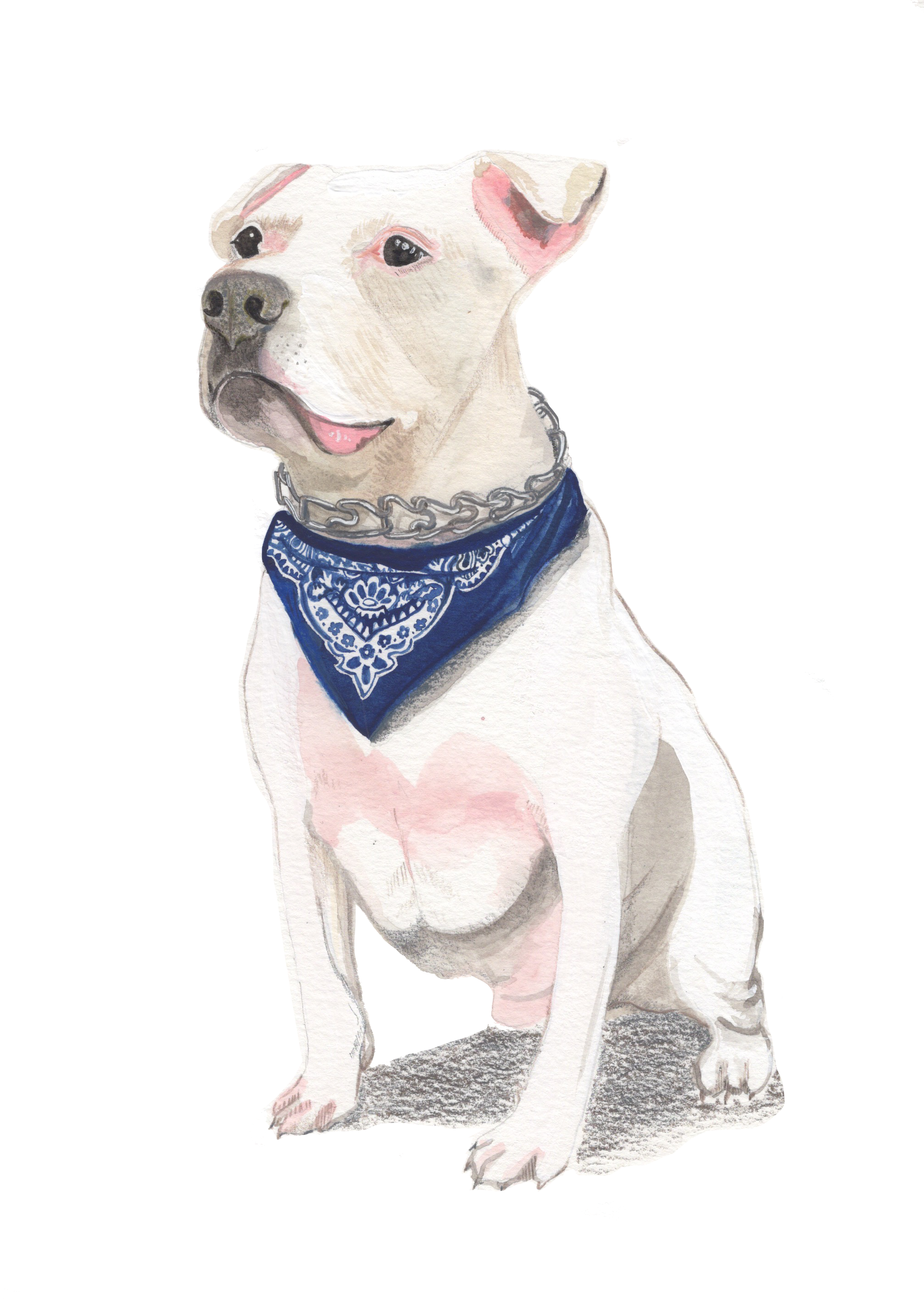 jasmine star pet portrait 1.png