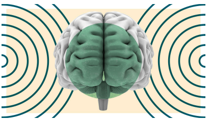 5 Common Behavioral Biases