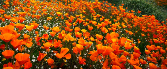 A More Flexible Way to Think About Retirement