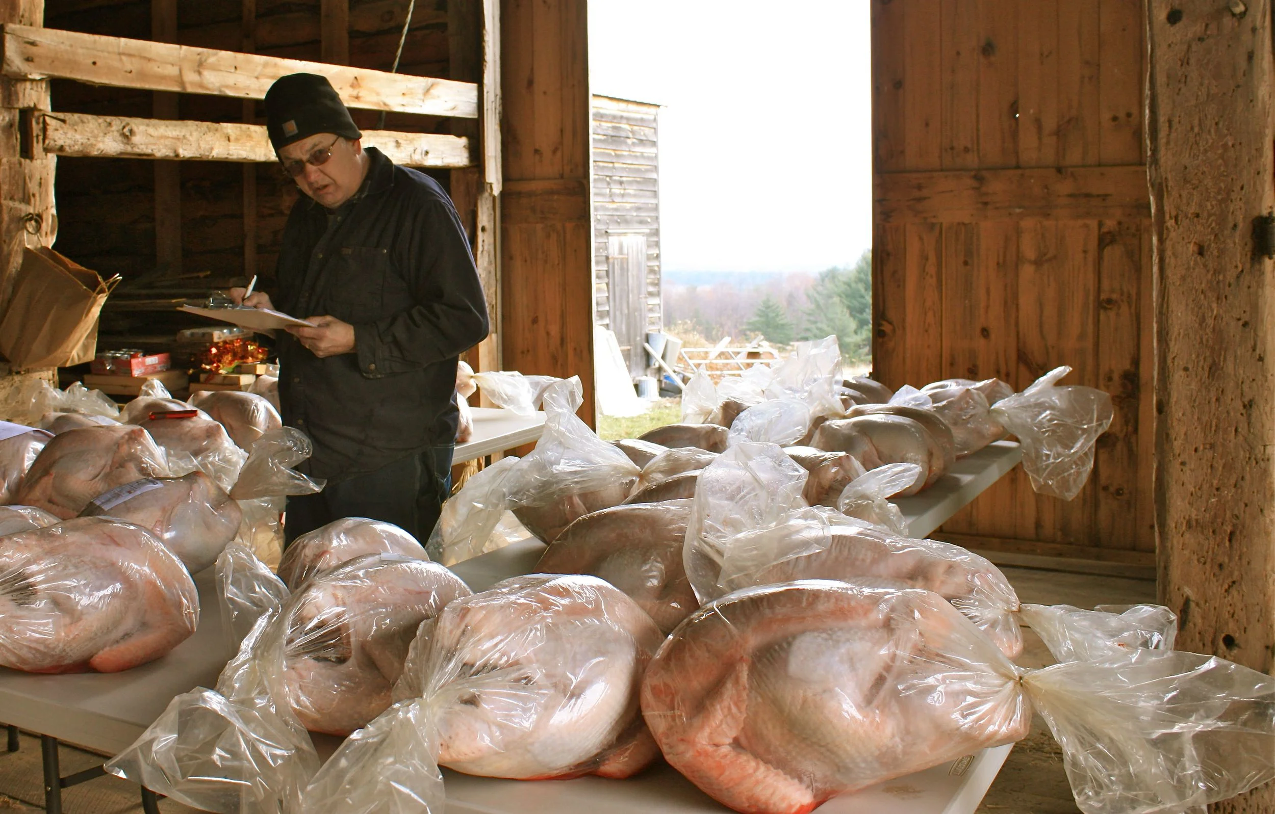 Today is pick up day in the reconstructed German threshing barn! Ken's not happy with the bags and will process the birds at the farm next year.