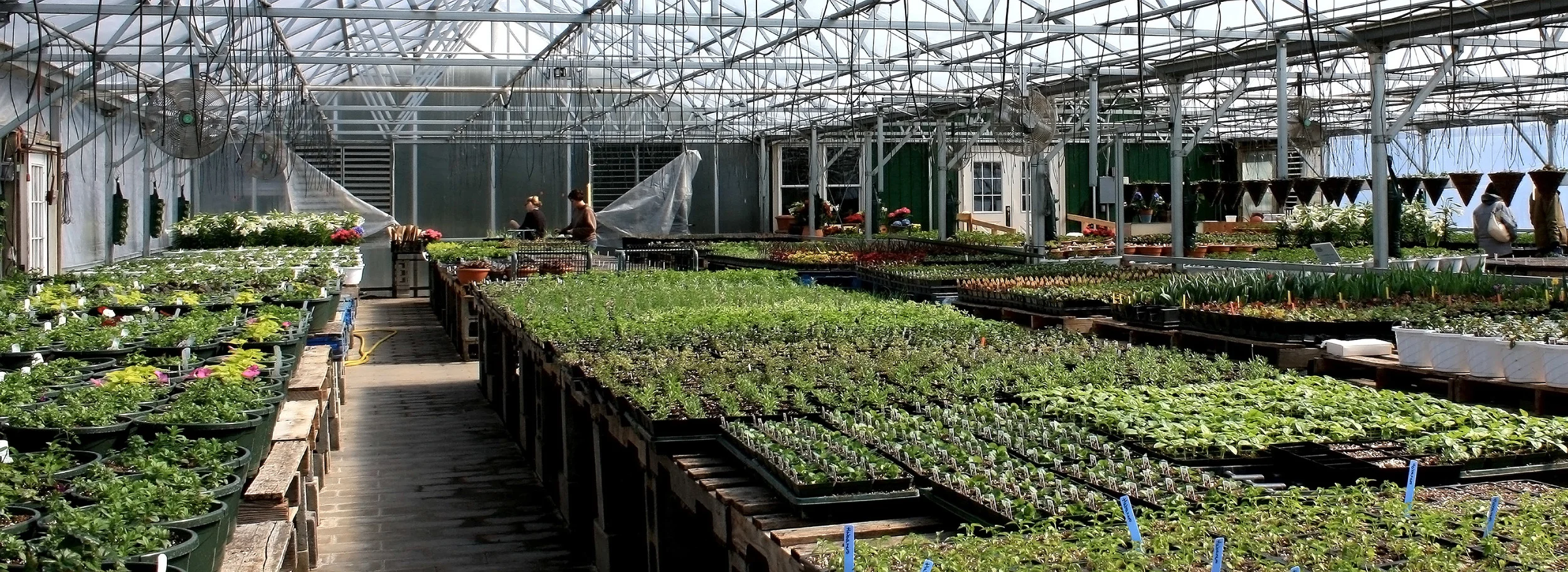 Thanks Schoharie Valley Farms Farm Share Studio