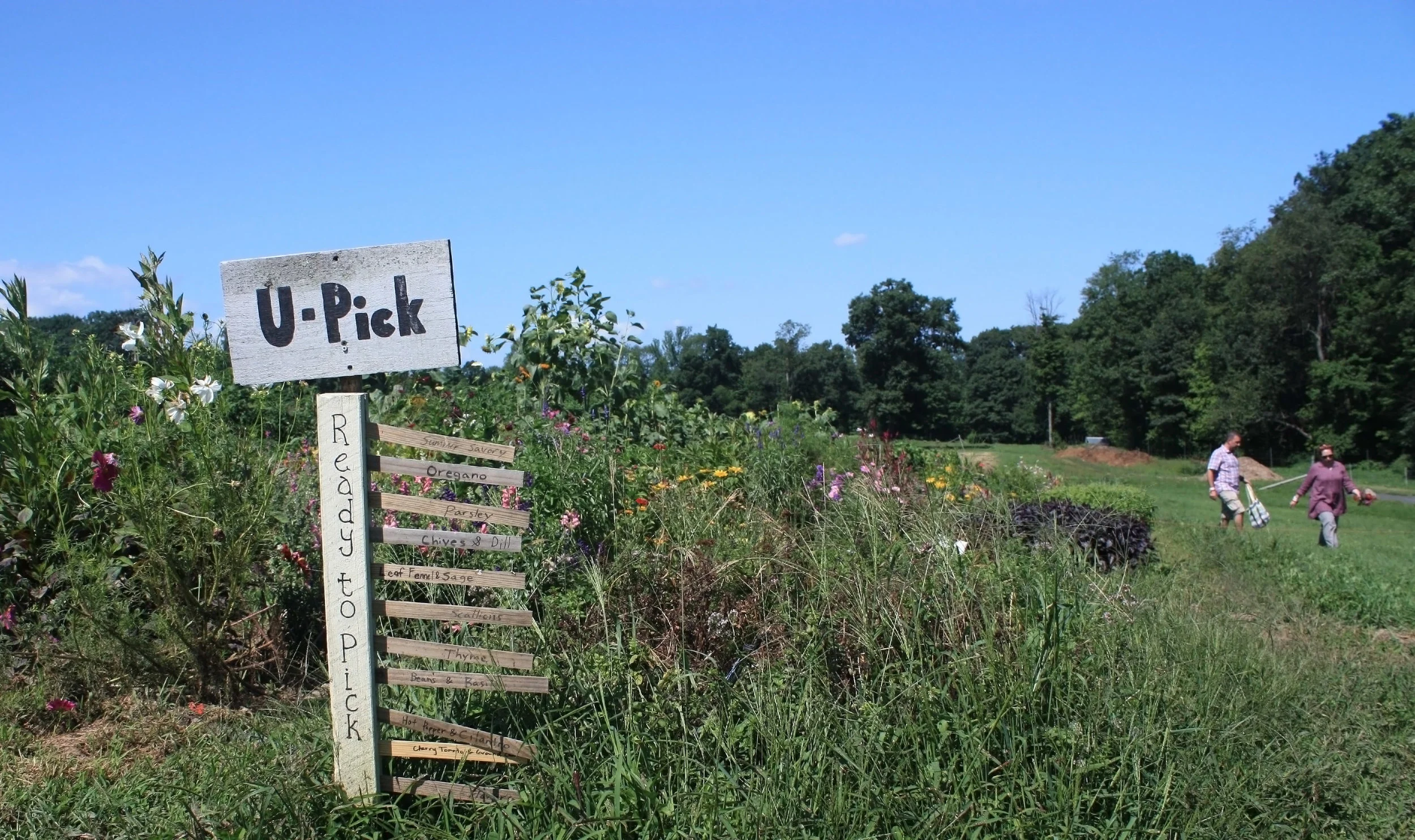 The U-Pick garden contains herbs, flowers, and cherry tomatoes.