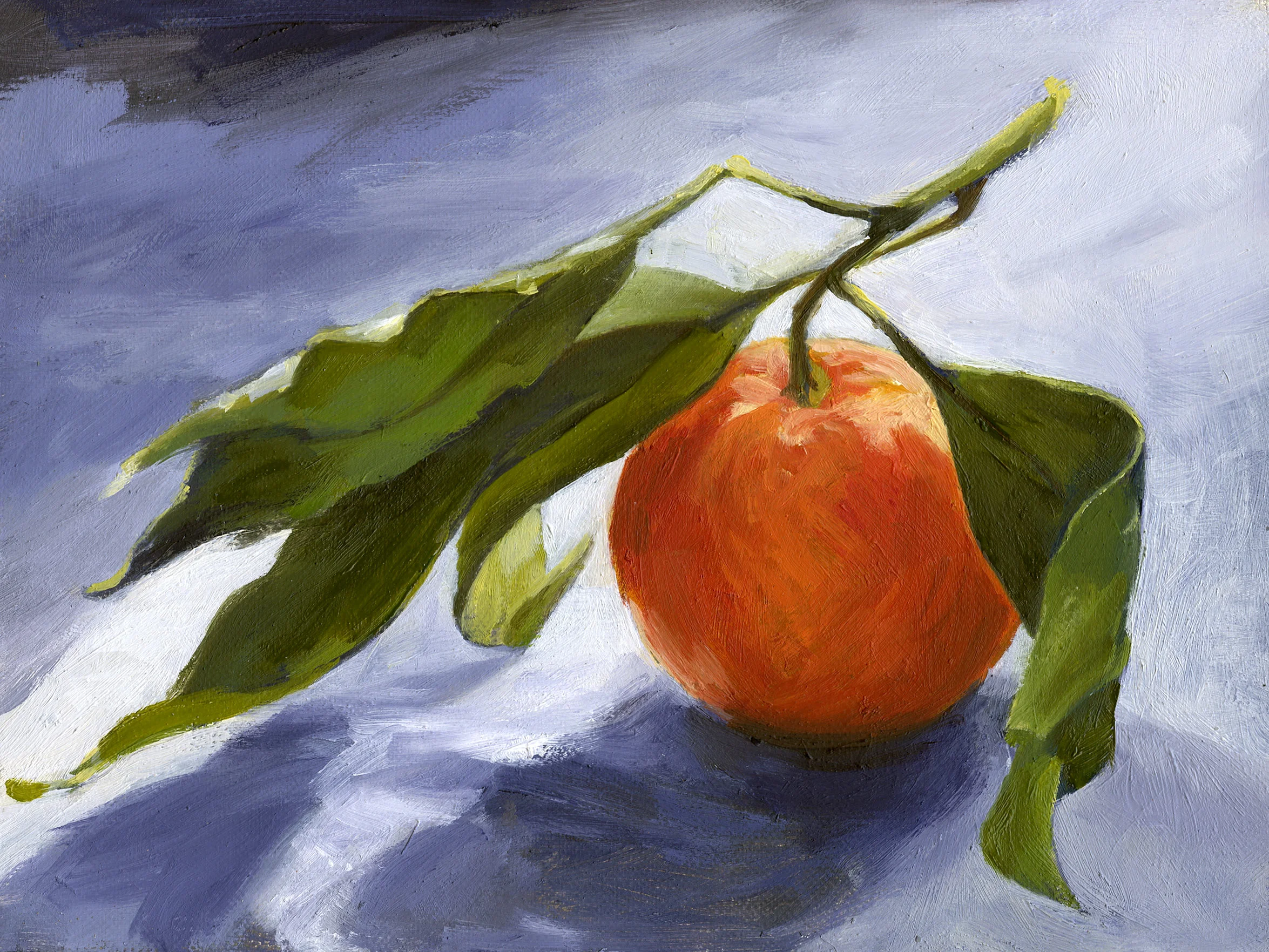 Satsuma in Winter Light