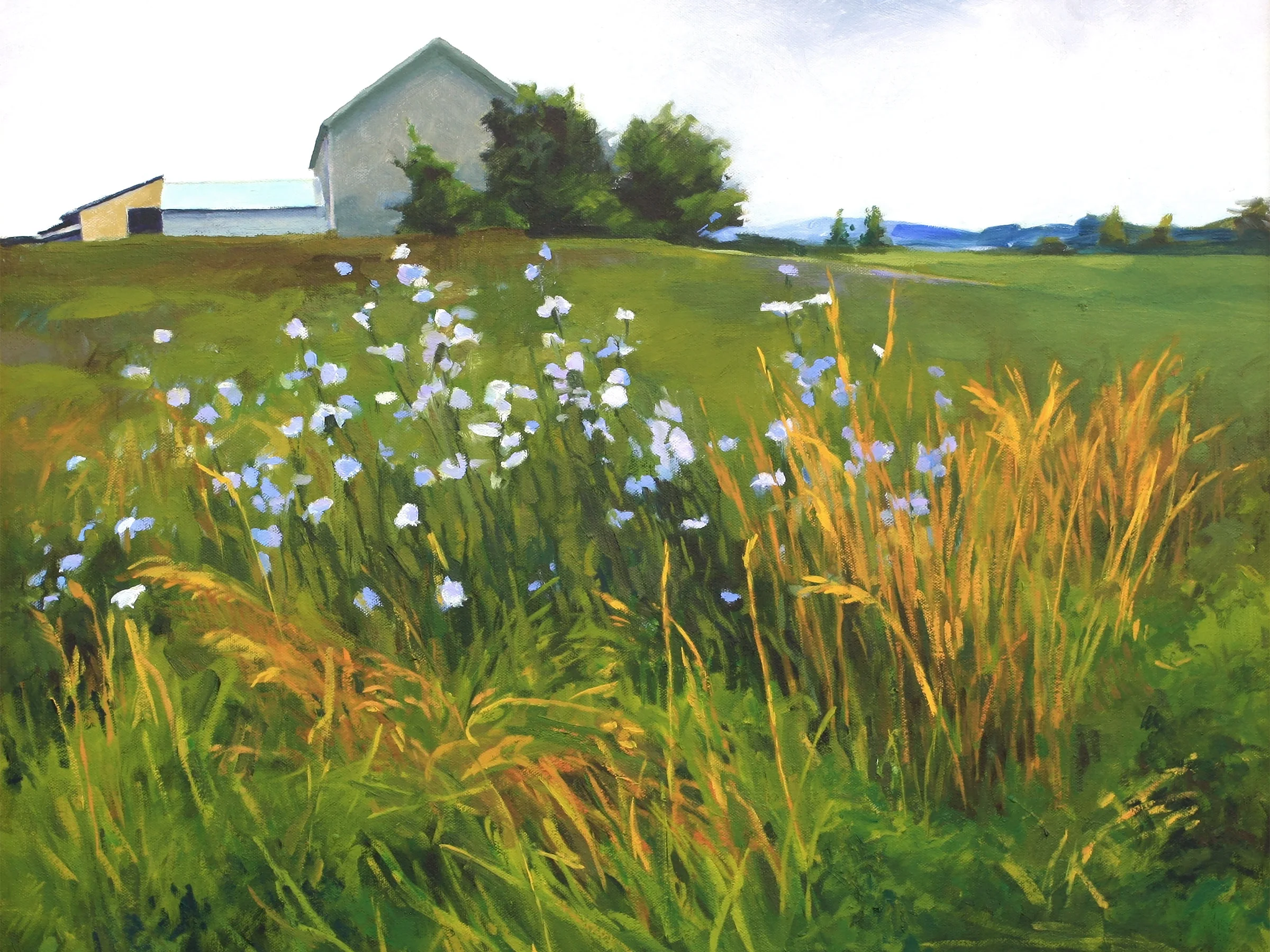 epson-chicory-reference-small.jpg