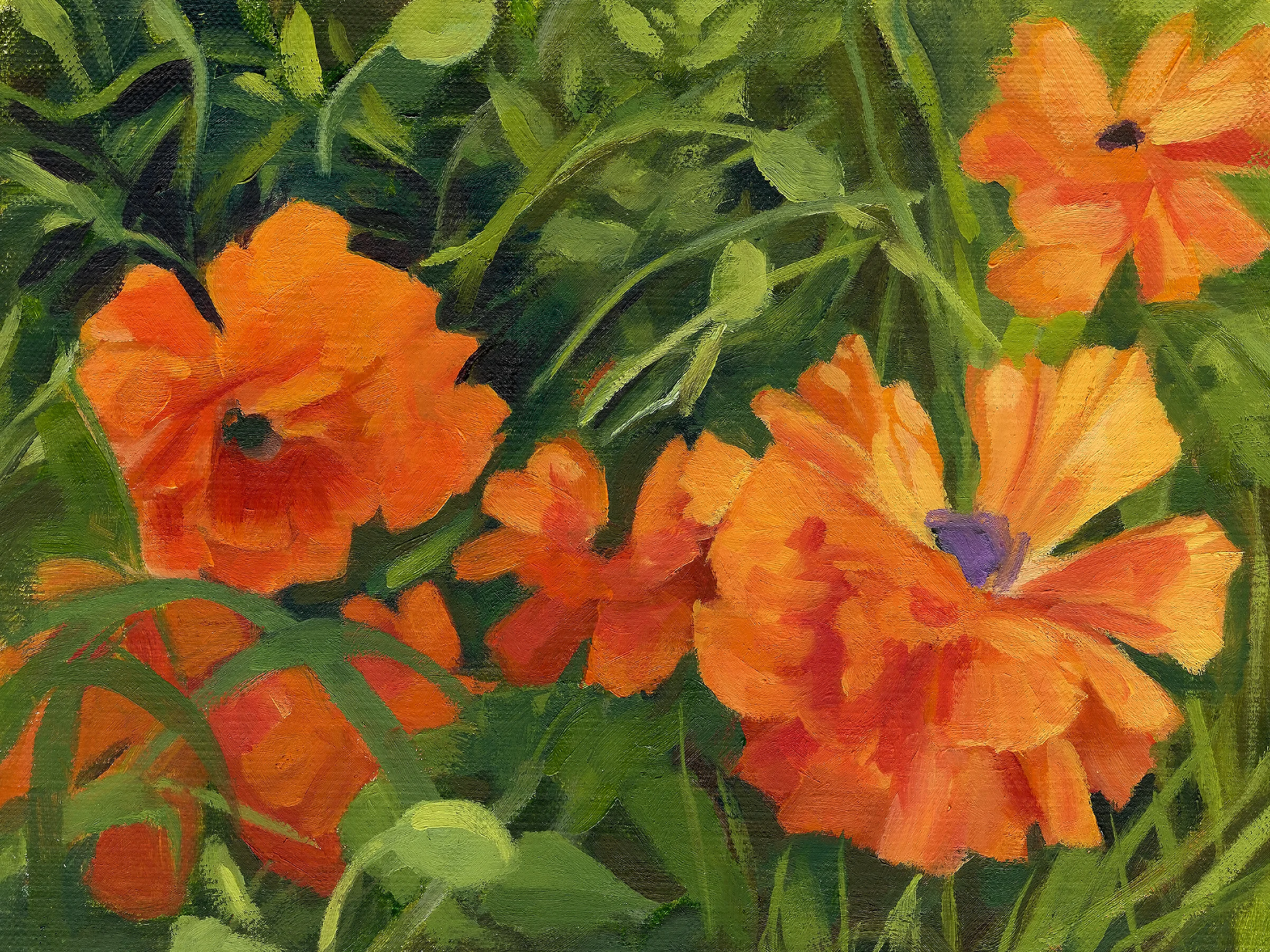 FB cover orange poppies.jpg
