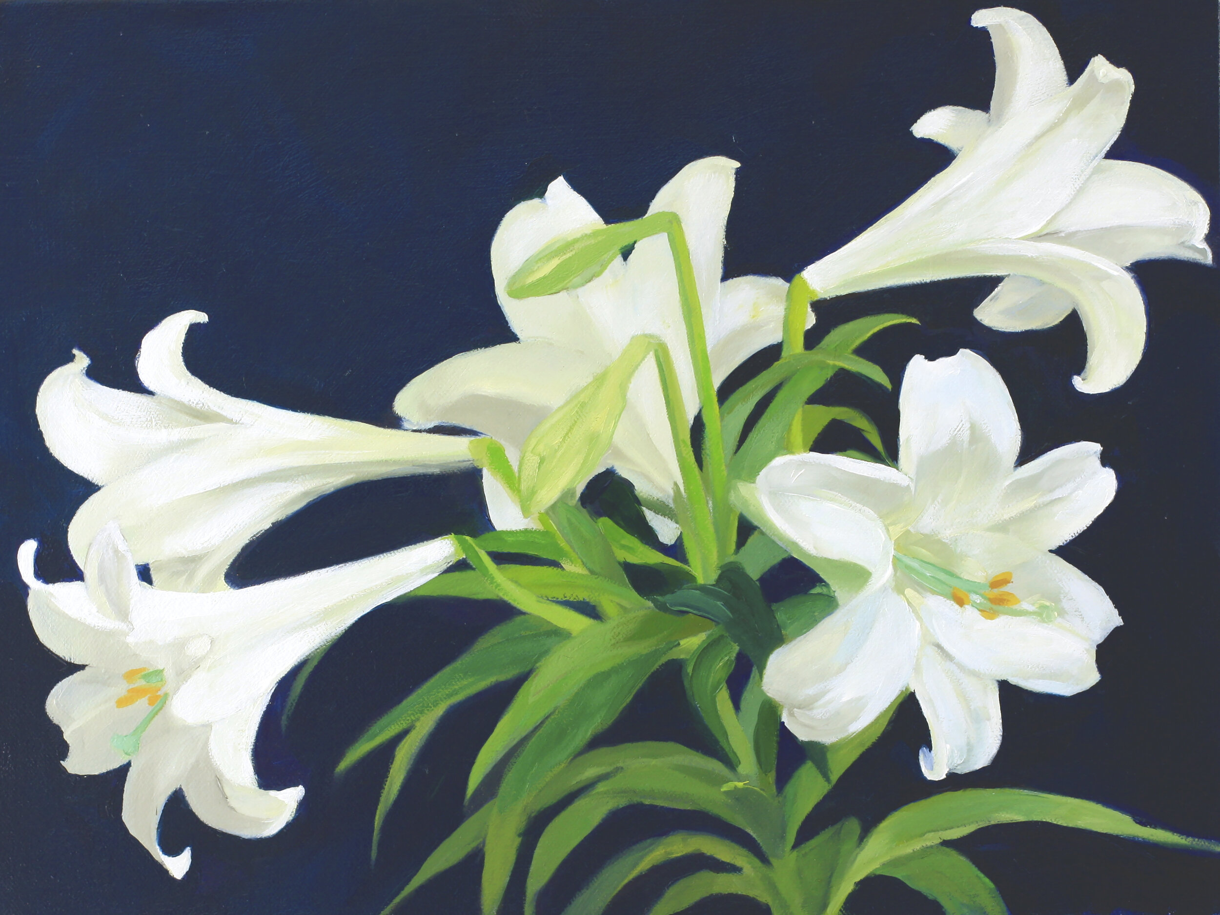 Easter Lilies on Indigo Background