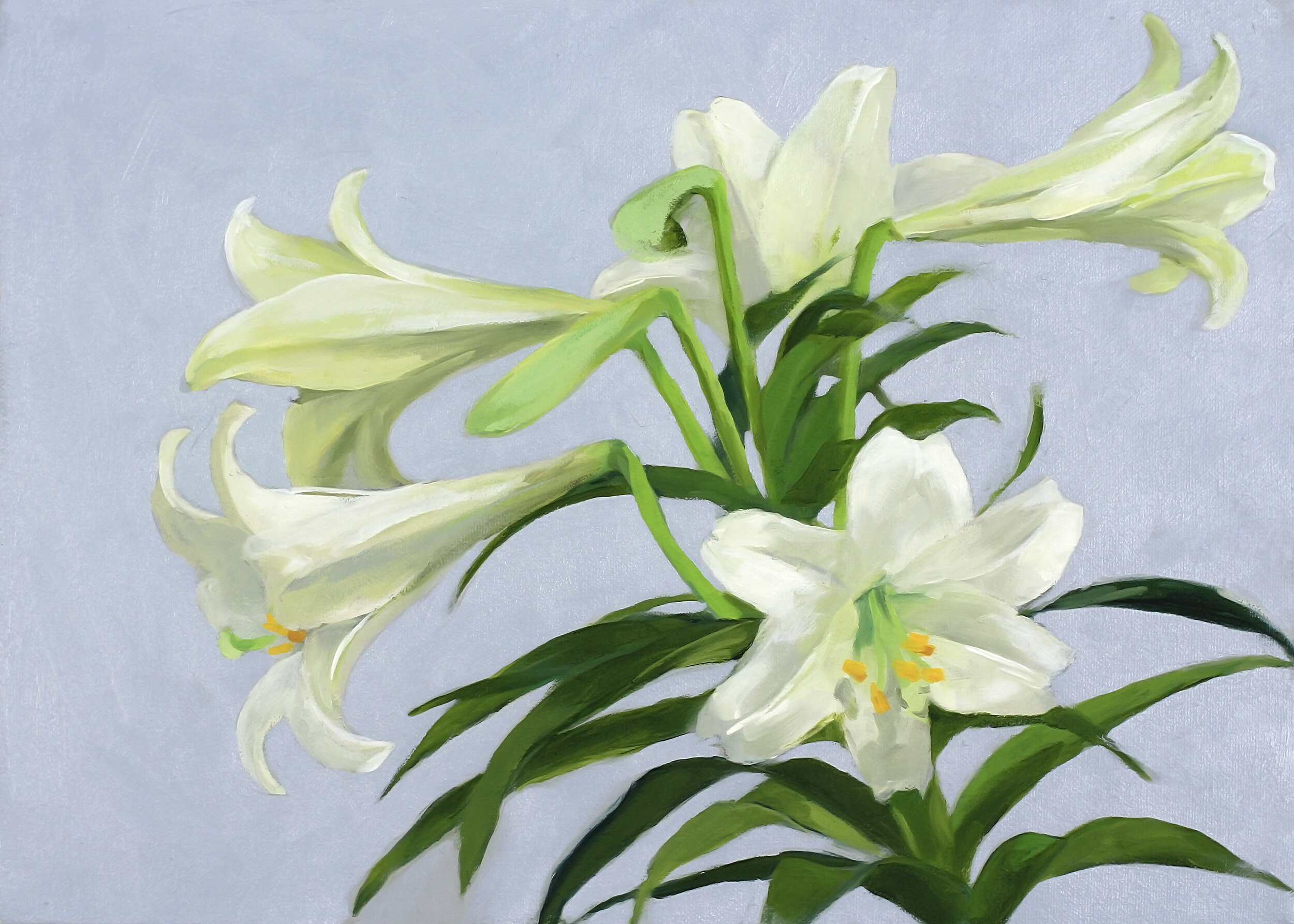 Easter Lilies on Silver Gray