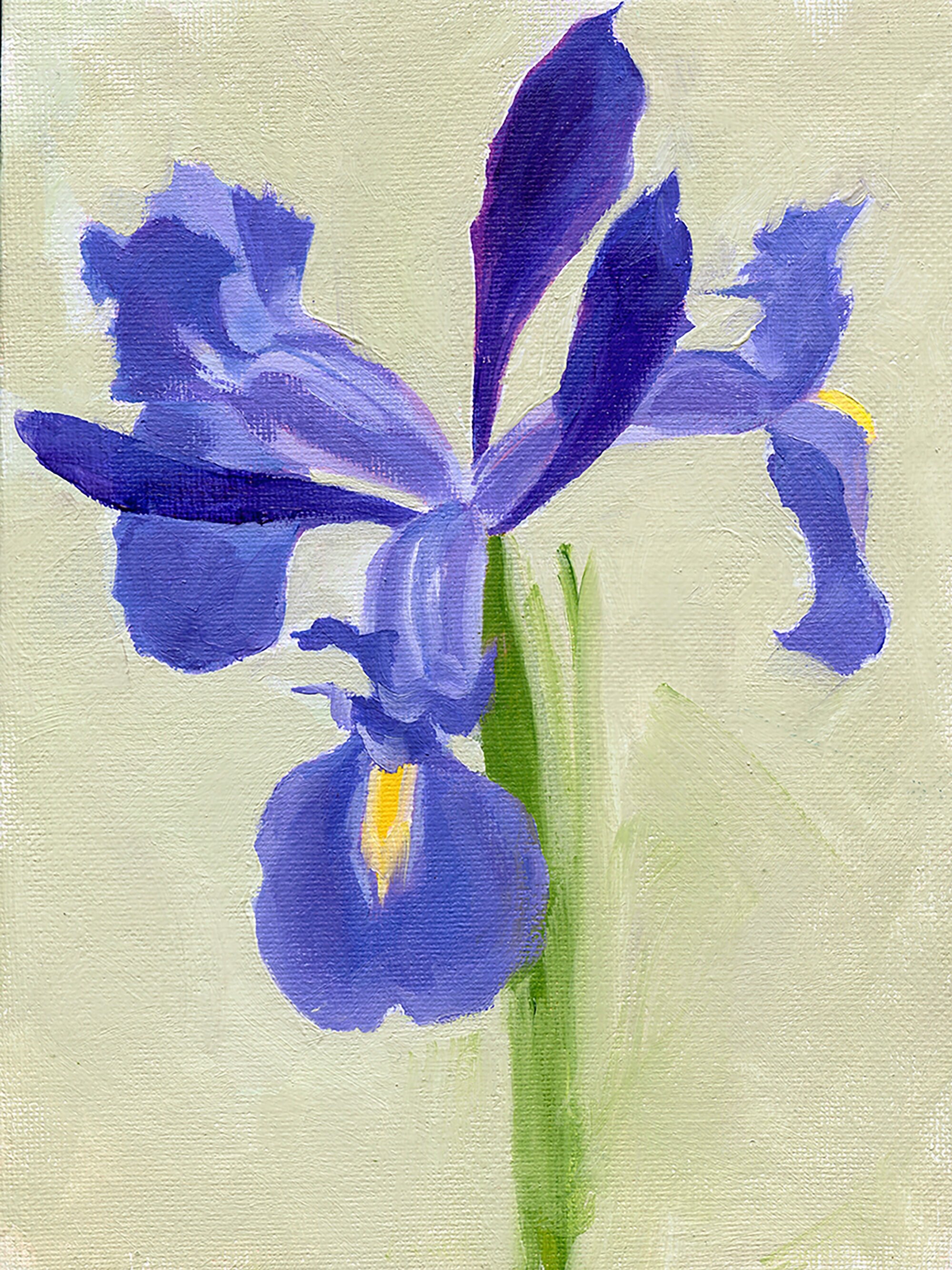 Single Blue Iris