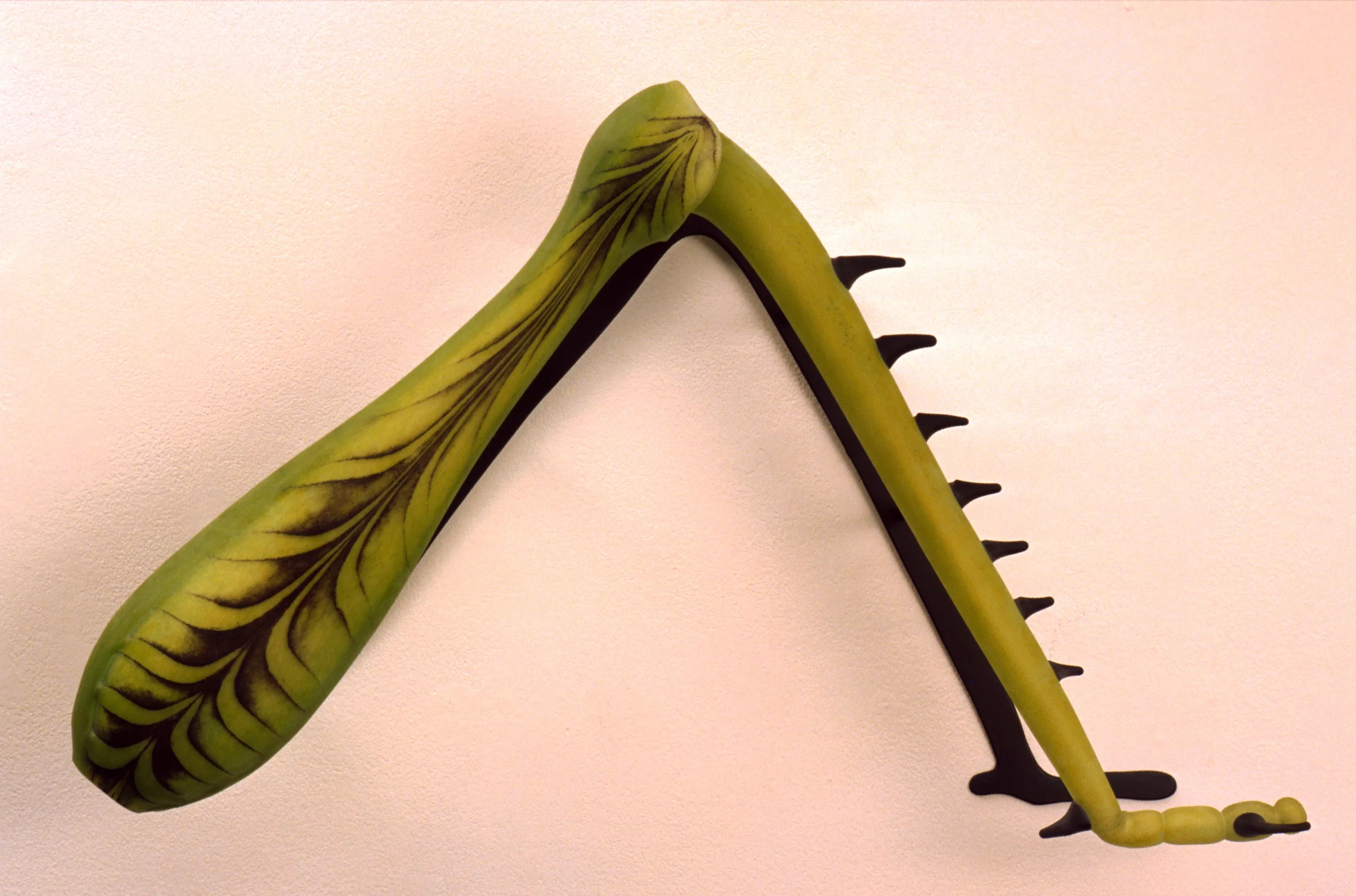 grasshopper leg.jpg