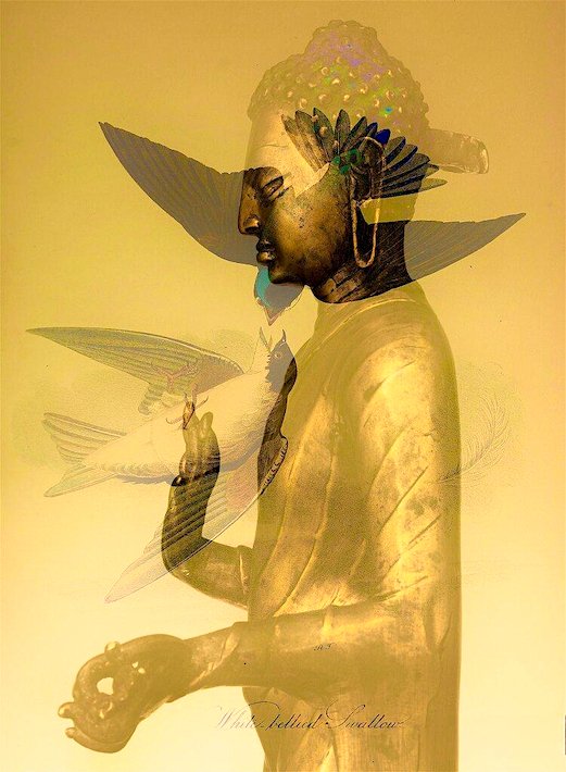 ""Only love transcends time....".