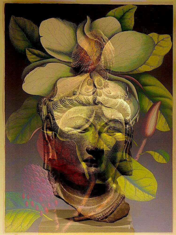 "We are all petals of consciousness....".