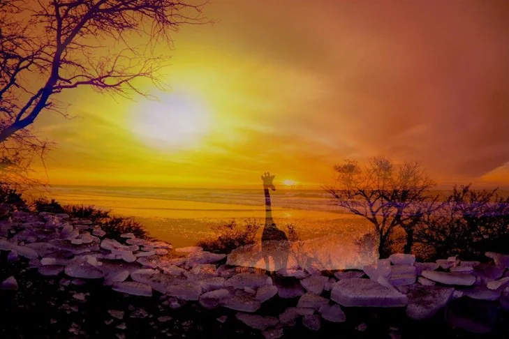 Project copy 29.jpeg