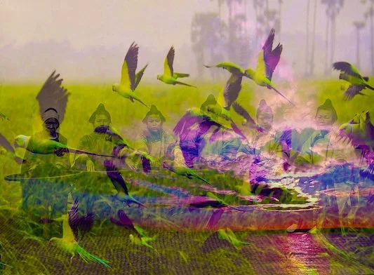 "My heart delights in the garden of your face…"