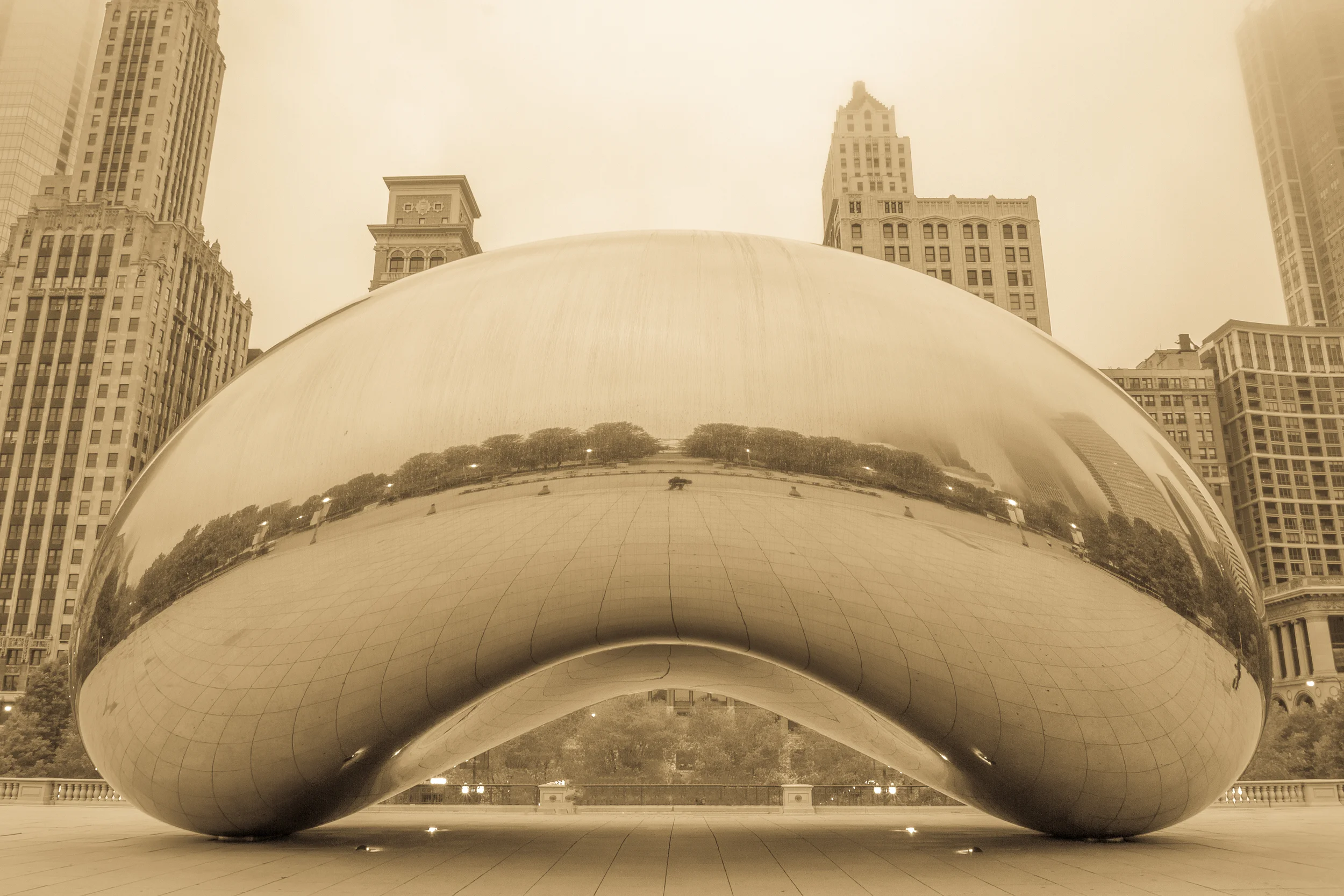 20150626-IMG_0011-HDR Bean-Edit.jpg