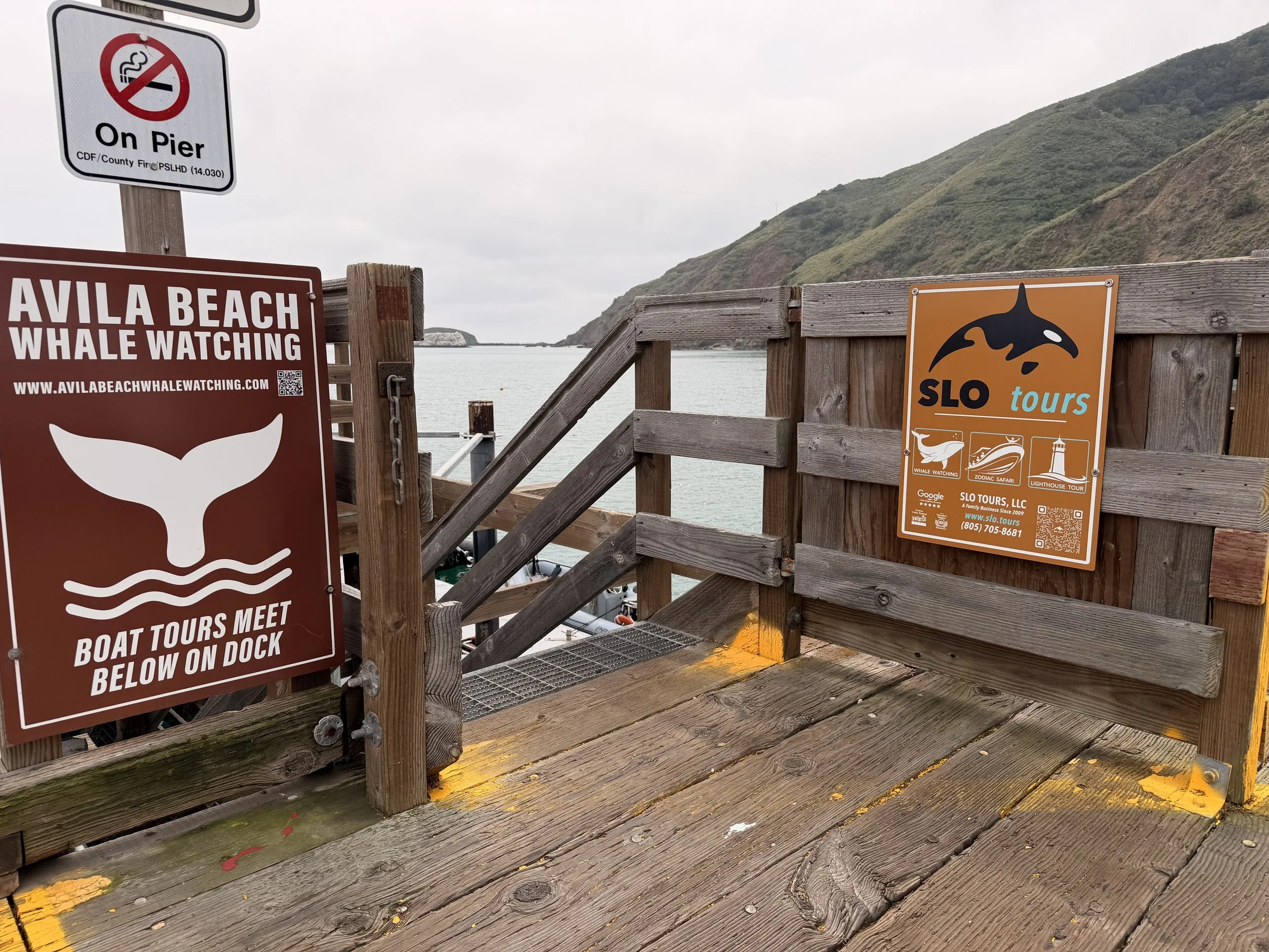 Zodiac Boat Tours in Avila Beach