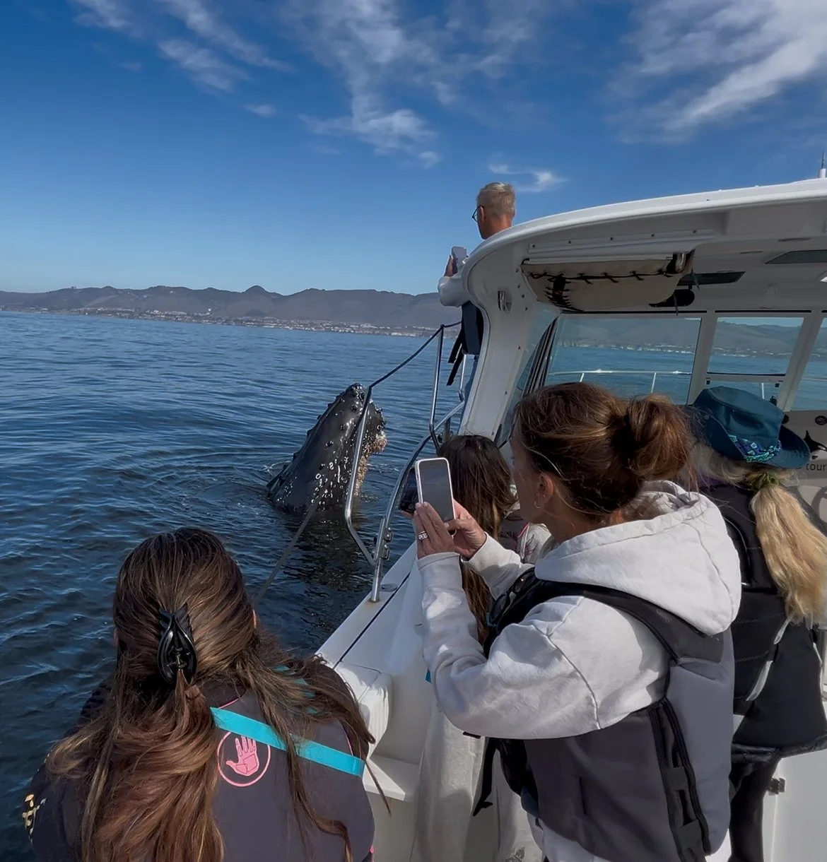 Whale Watching in Pismo Beach