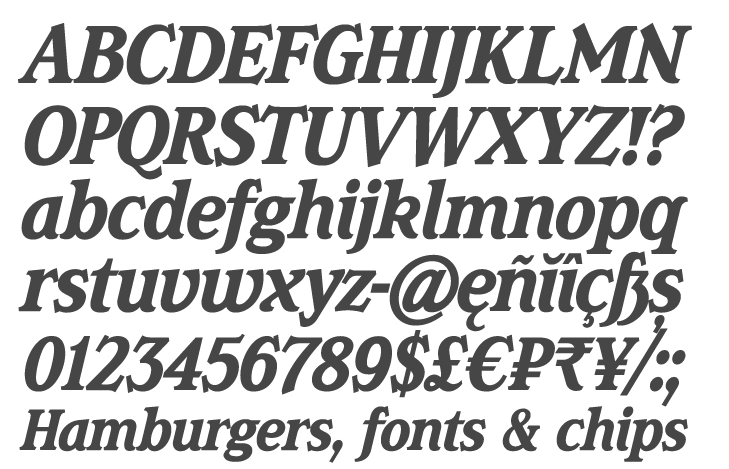 K-Type's Magica is a book and display face that is both distinctive and legible – clear letterforms and a generous x-height make Magica a good choice for text or titles. The typeface has elegantly chamfered serifs and a confident, vivacious character that is equally suited to formal and informal usage.