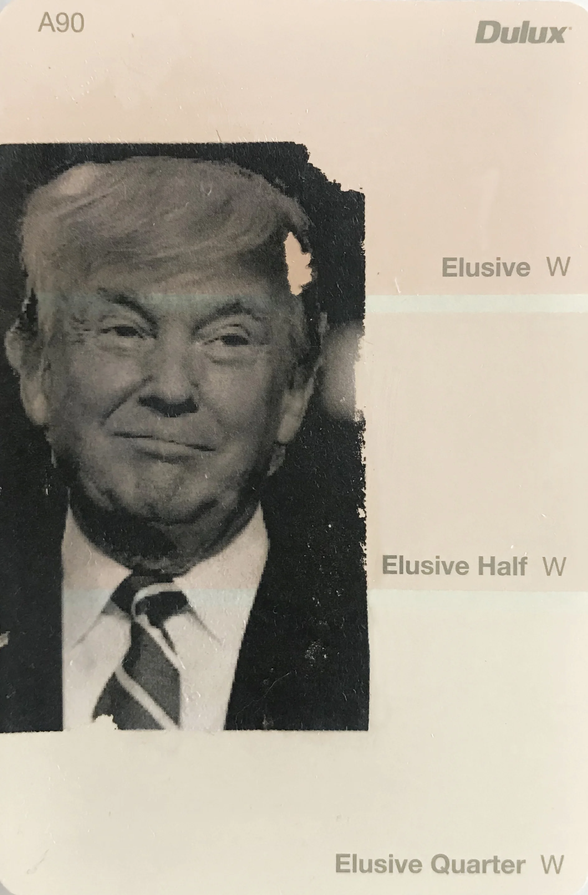 elusive.jpg