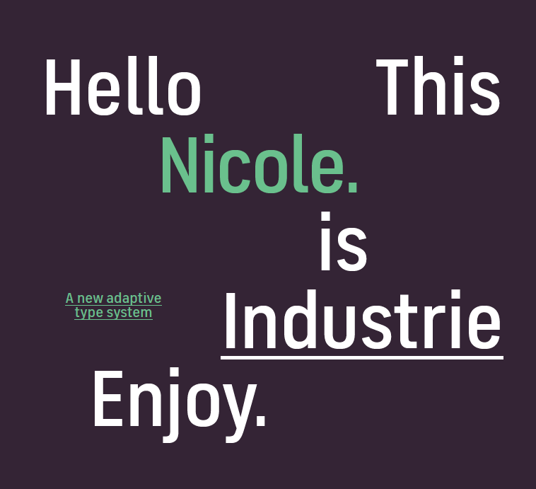 FSindustrie_TYPOgraphHer8.png