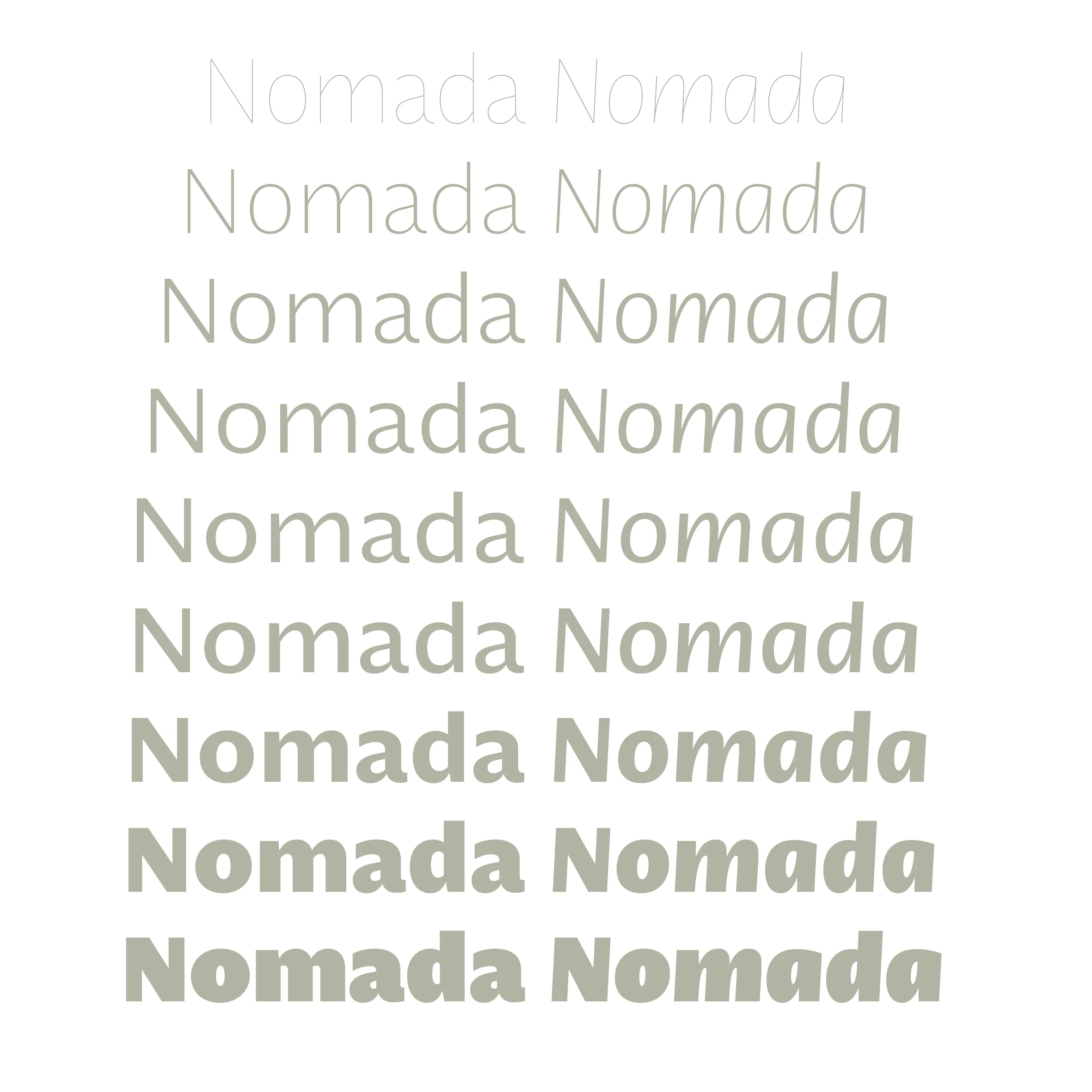 Nomada3.jpg